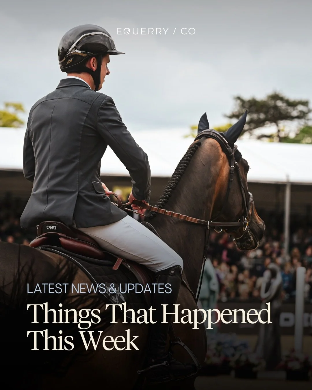 Things that happened this week:

🐎 Victor Bettendorf secured the CSI5* Rolex Grand Prix with Qwando van de Rispen.

🏆 Simon Delestre won the LGCT Grand Prix of Madrid riding Gatsby du Tillard after producing the only double clear round in the class
