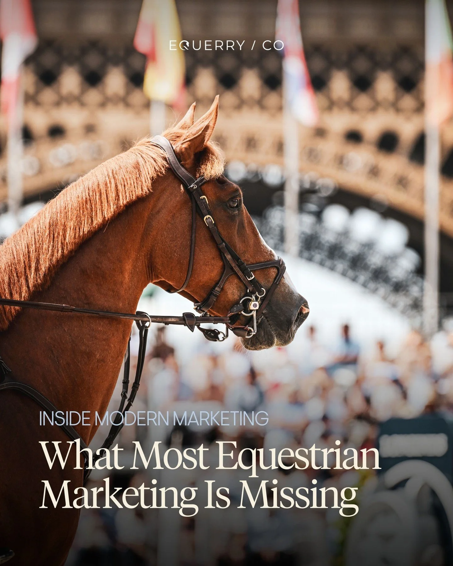 &ldquo;What is it that you actually do?&rdquo;

It&rsquo;s a question we hear often at events and conferences, especially when meeting people who already follow our work online.

At @equerryco, we work alongside equestrian organisations focused on su