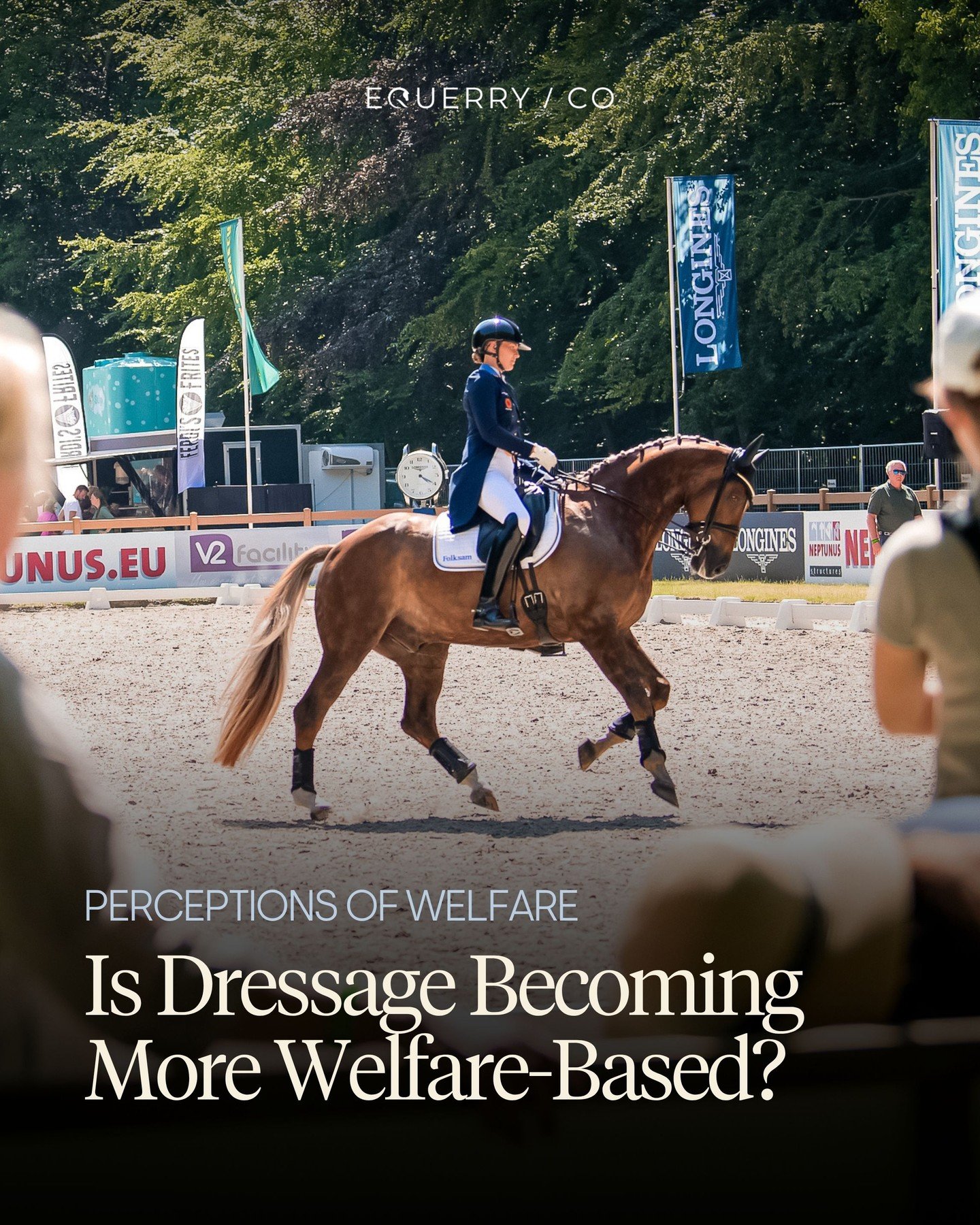 Data shared from the International Dressage Officials Club in a report by Hans Christian Matthiesen suggests that dressage judging is gradually evolving in a more welfare-conscious direction.

In our own research on perceptions of positive dressage i