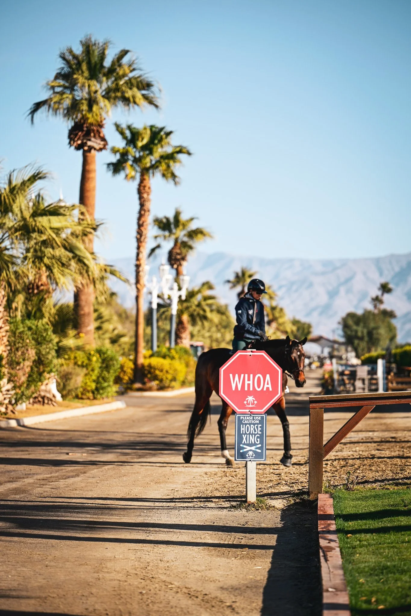 How Equestrian Brands &amp; Events Can Scale Without Big Budgets: A Playbook for Growth