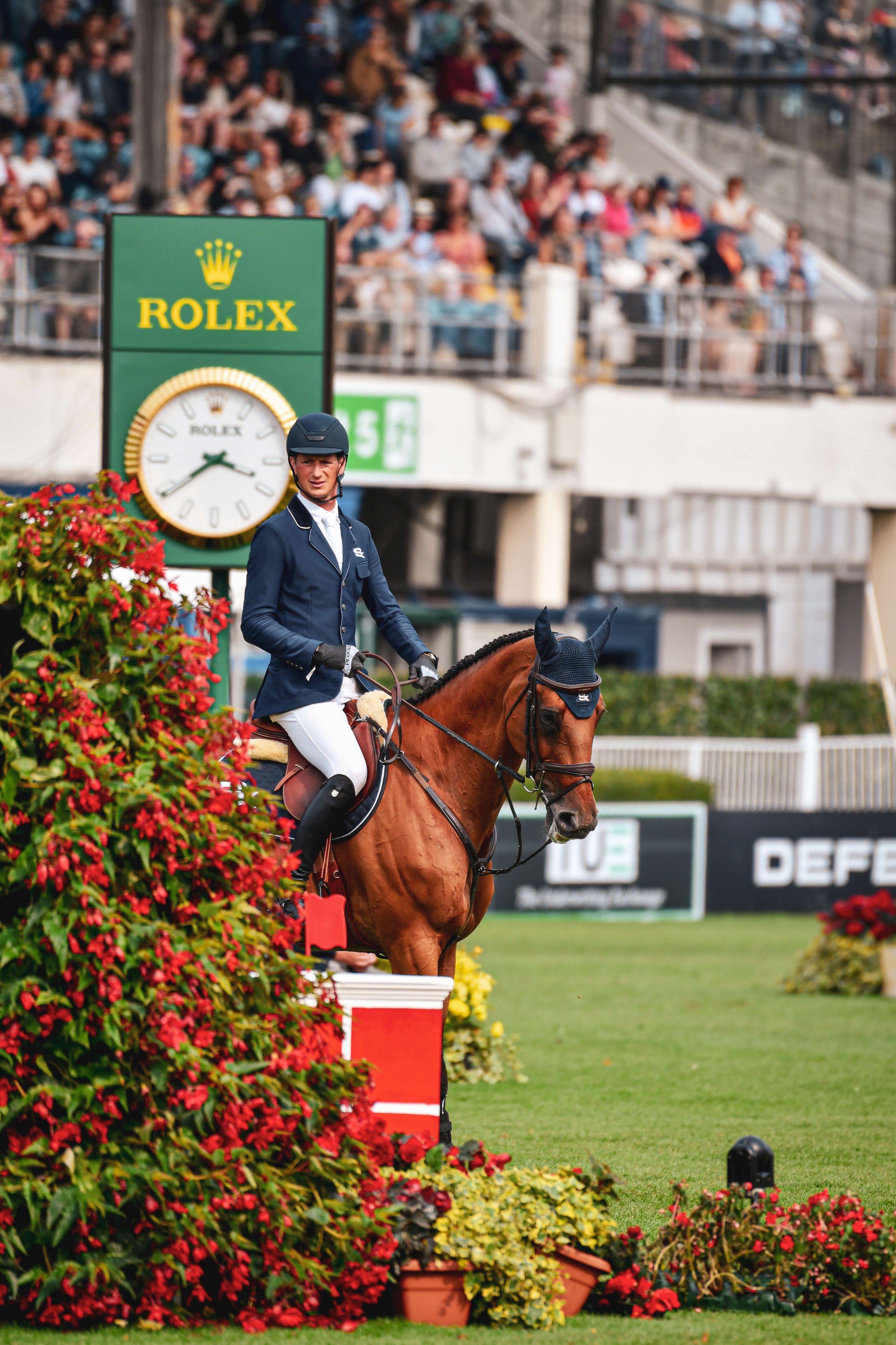 horse-showjumping-photography-equine-marketing-digital-EQuerry