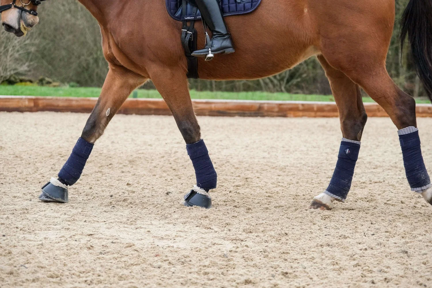 Horse_Arena_Marketing_EQuerry.jpg