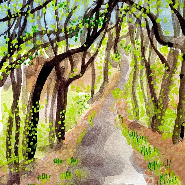 Spring woods. Every day we walk in the woods they become greener and denser. #dailysketch #springinthewoods #watercolorsketch #dailywalk