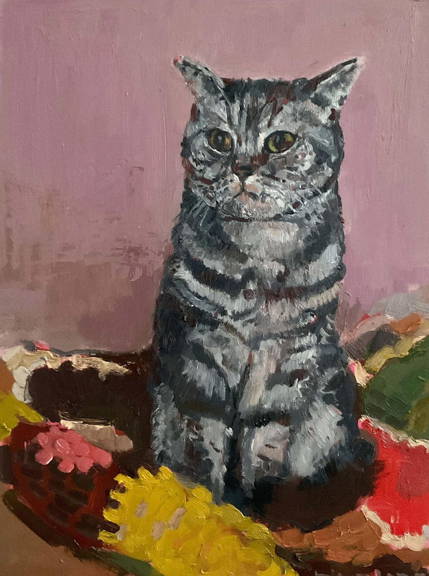 Kater, grau getigert, mit Häkeldecke vor rosa Hintergrund, Öl auf Holz , 30 x 40 cm, 2025 