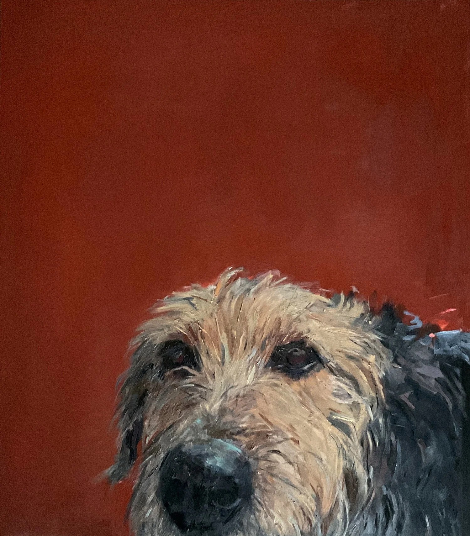 Hund vor weinrotem NIntergrund, Hundeportrait, Nina Lang 2025 