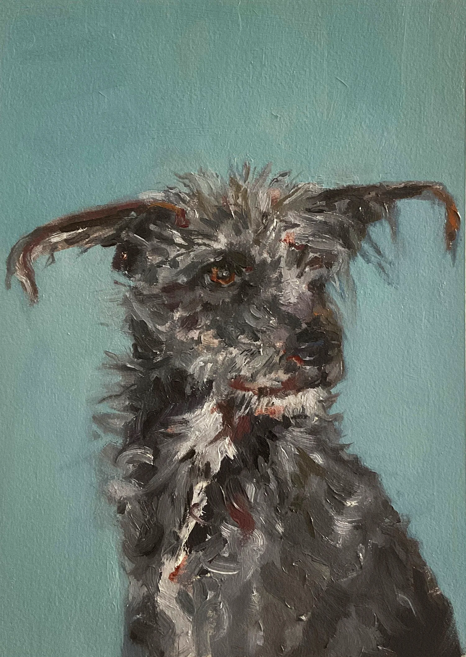 Tom, Hundeportrait, Nina Lang, Öl auf Papier, 2024 