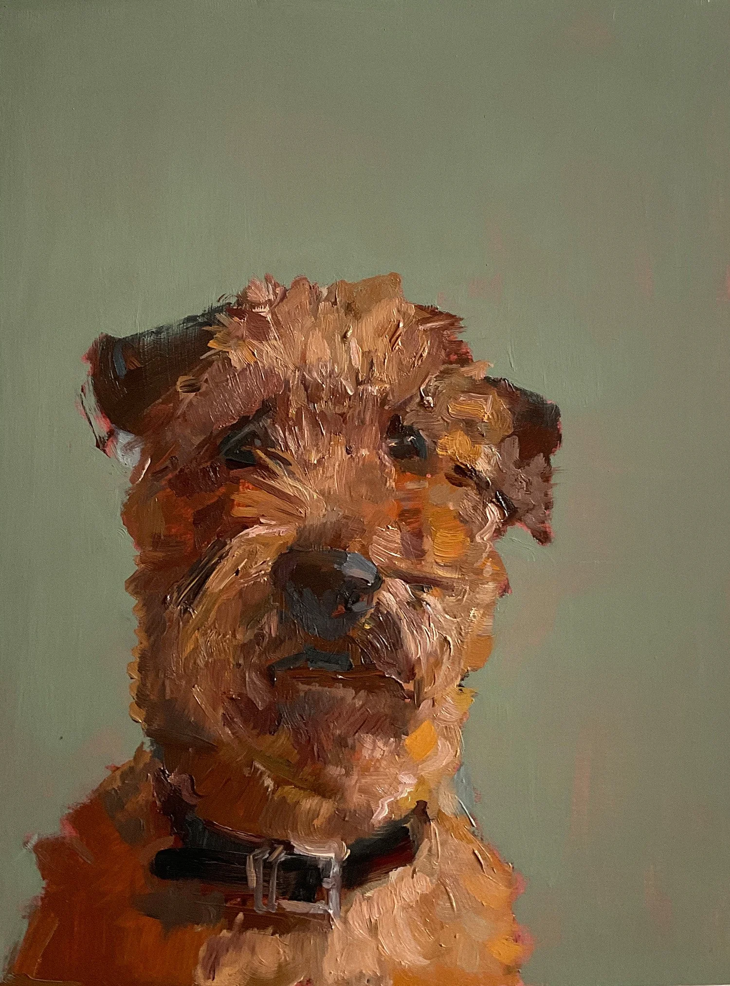 Golden Terrier vor Grün mit schiefen Ohren und schwarzen Kopfaugen, Nina Lang, Auftrag, gemalt in Öl auf Holz, 2025 