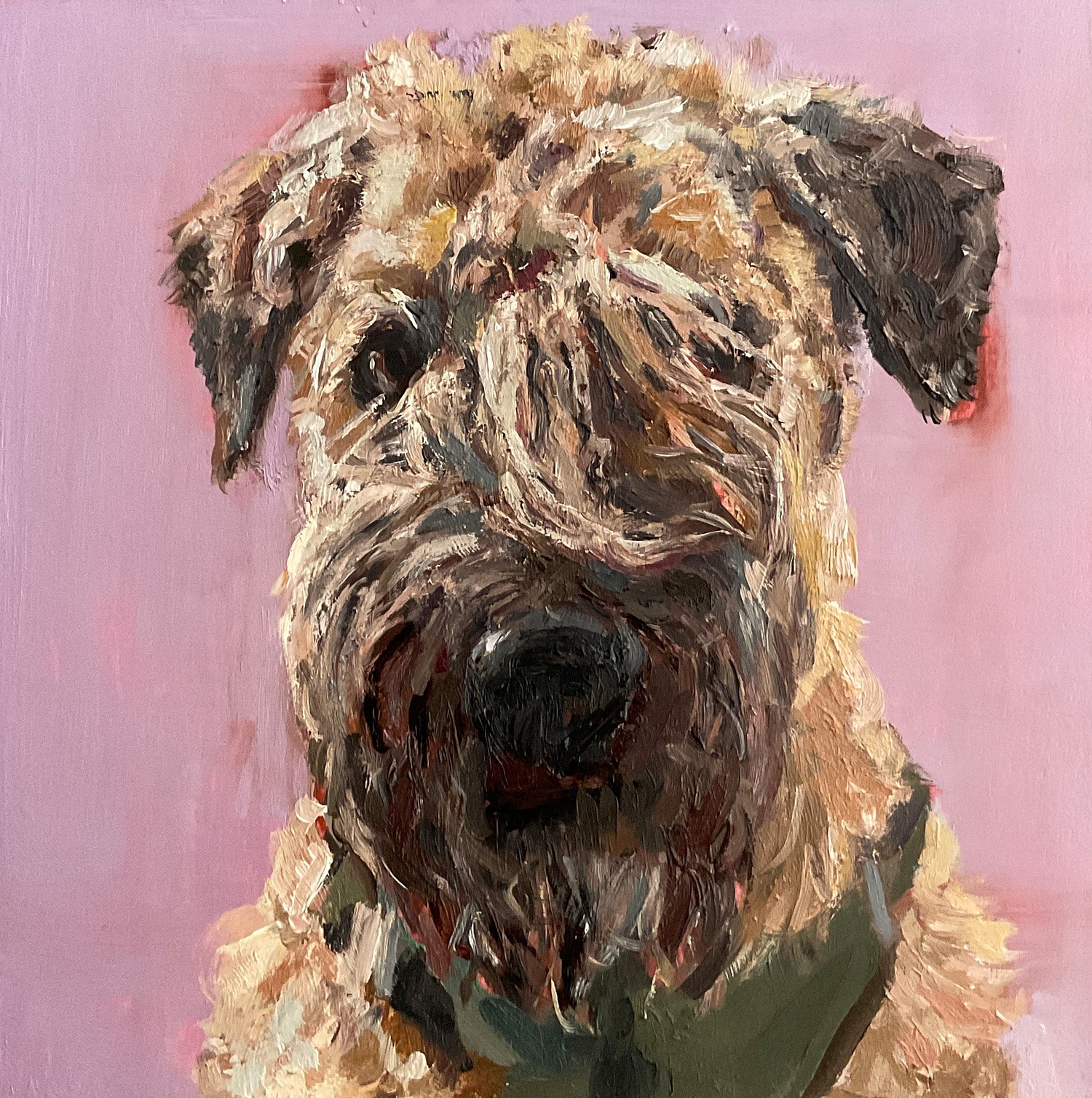 Hundeportrait, Roj vor Rosa,  Nina Lang, 30 x 30 cm, Öl auf Holz, 2025, Auftragsmalerei
