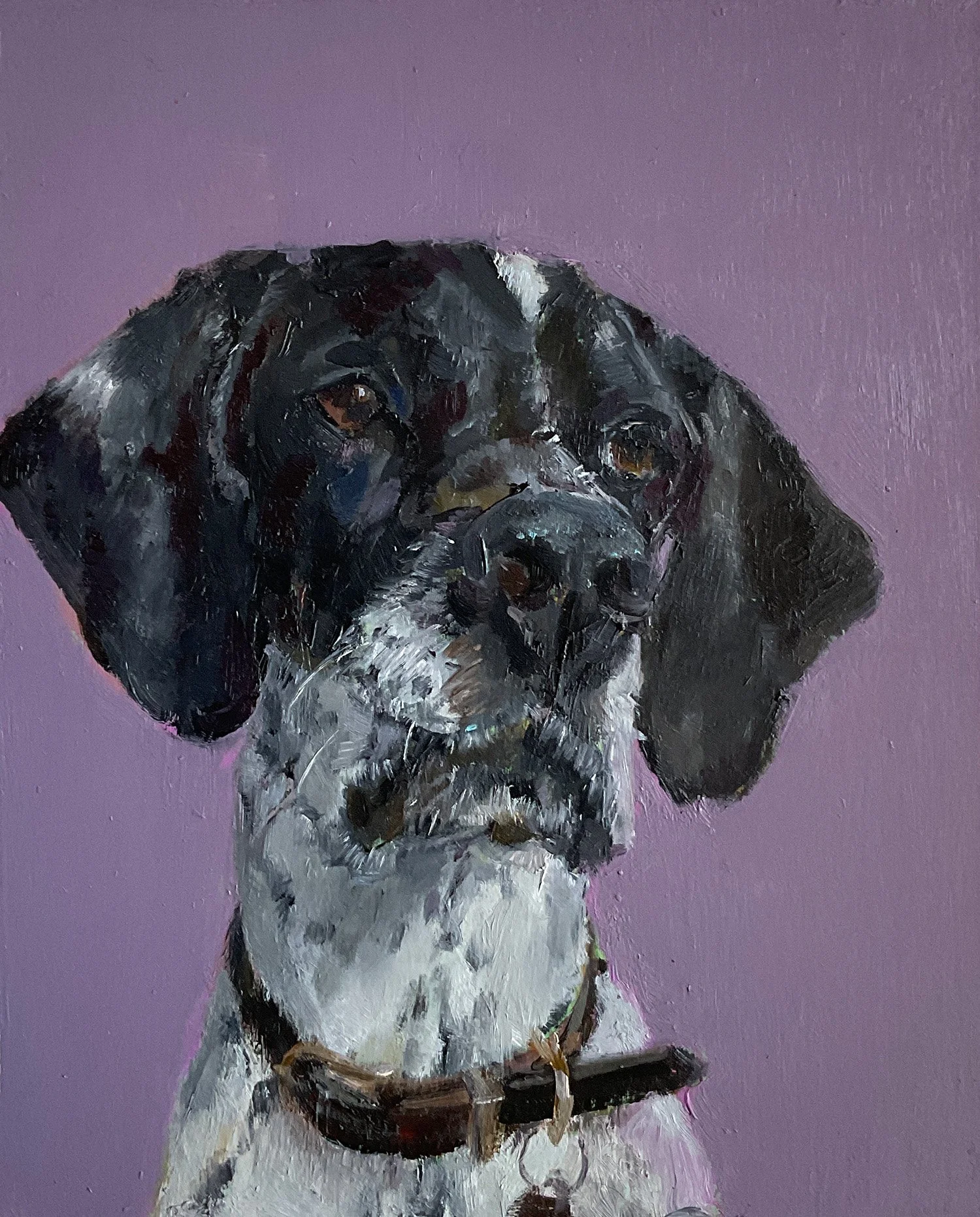 Schwarz weisser Pointer mit aufmerksamem Blick vor lila Hintergrund. Nina Lang Portraits, 2025, Öl auf Holz 