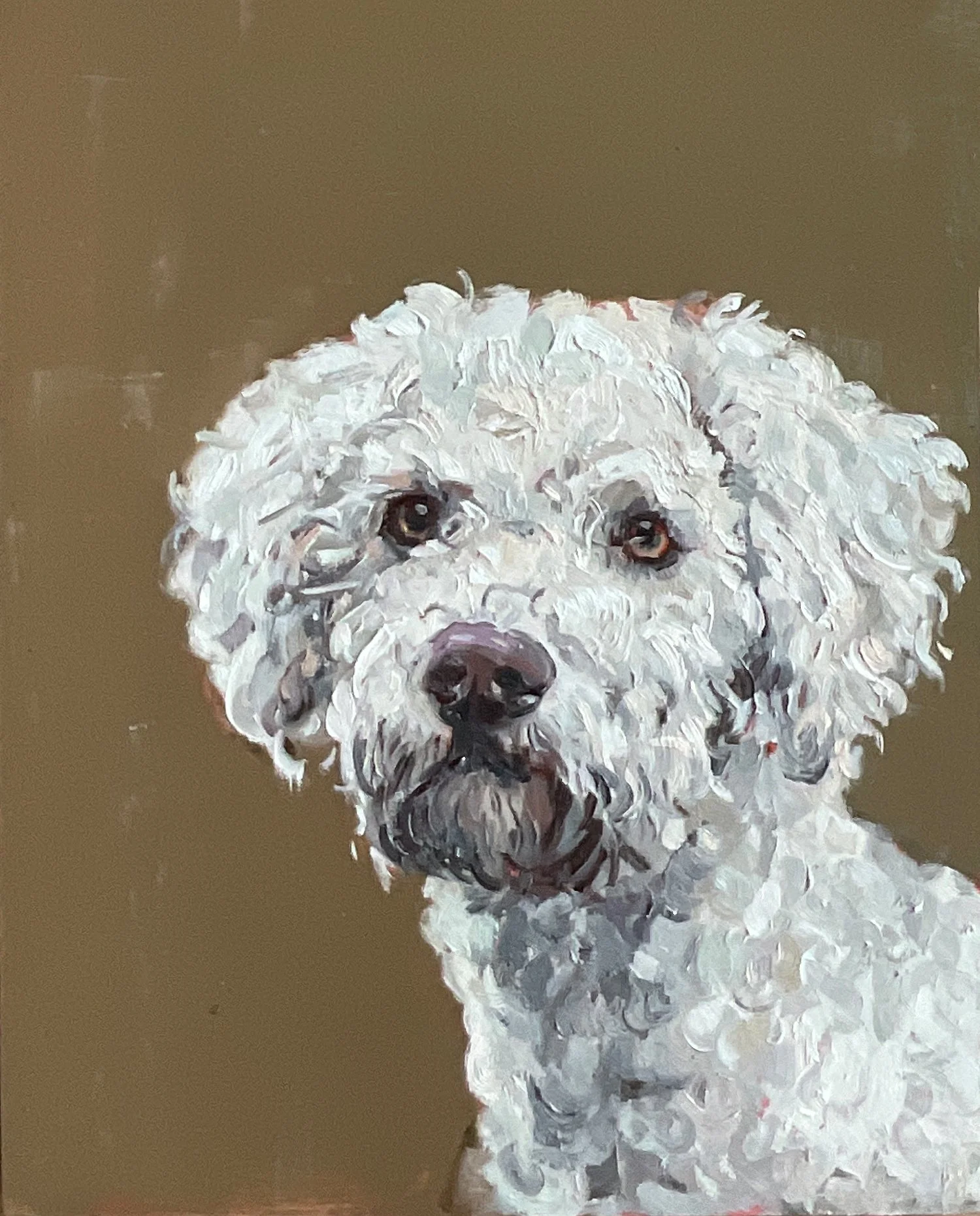 Hundeportrait, Trüffelhund, weißer Lagotto  vor beigem Hintergrund, Nina Lang, 40 x 50 cm, Öl auf Holz, 2025, auf Auftrag