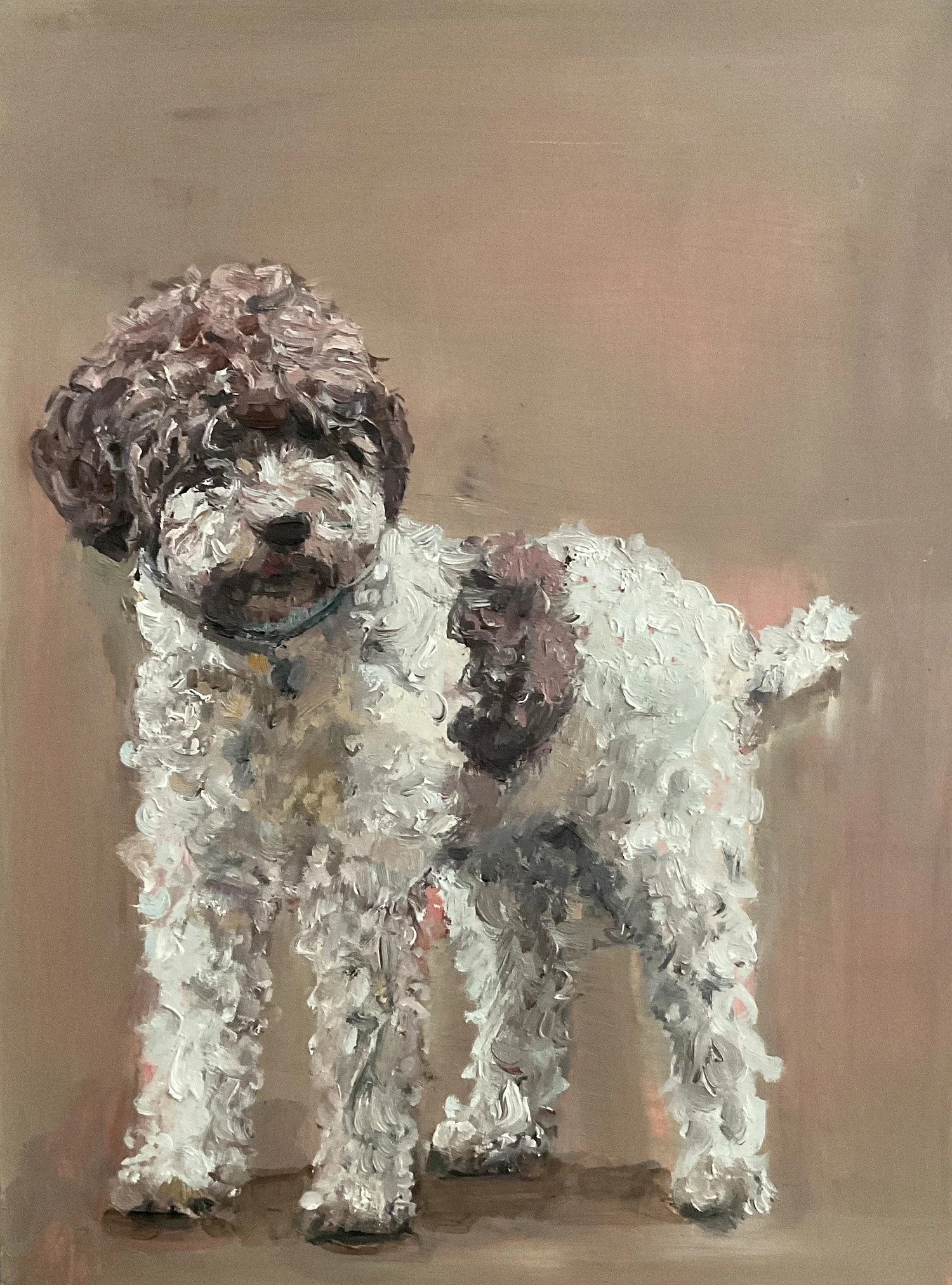 Hundeportrait, Lagotto, grau brauner Trüffelhund vor beigem Hintergrund, als Auftrag, gemalt von Nina Lang, 30 x 40 cm, Öl auf Holz, 2025