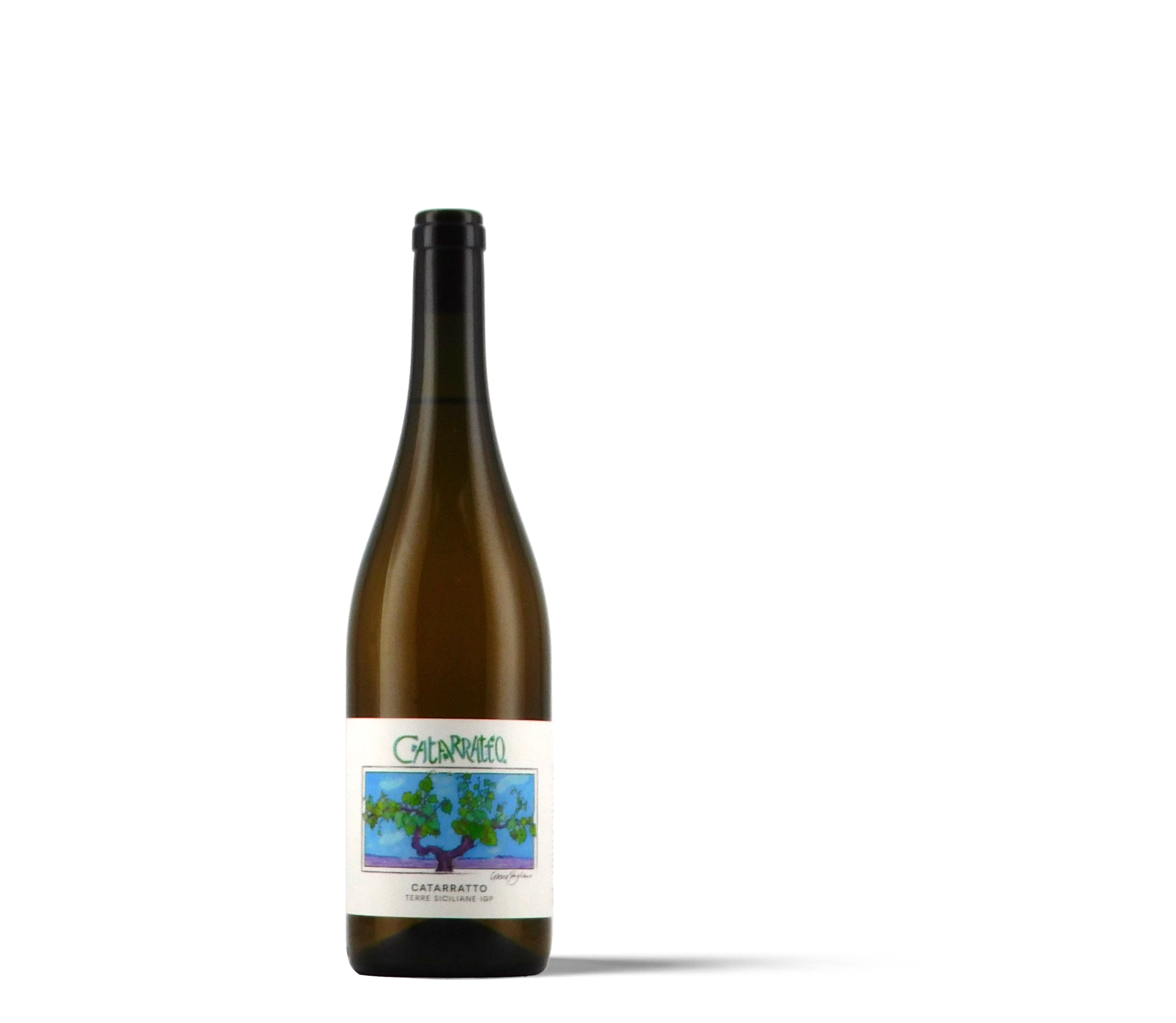 CATARRATTO