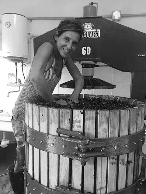 DI GIULIA, Marche / Cupramontana, Ancona