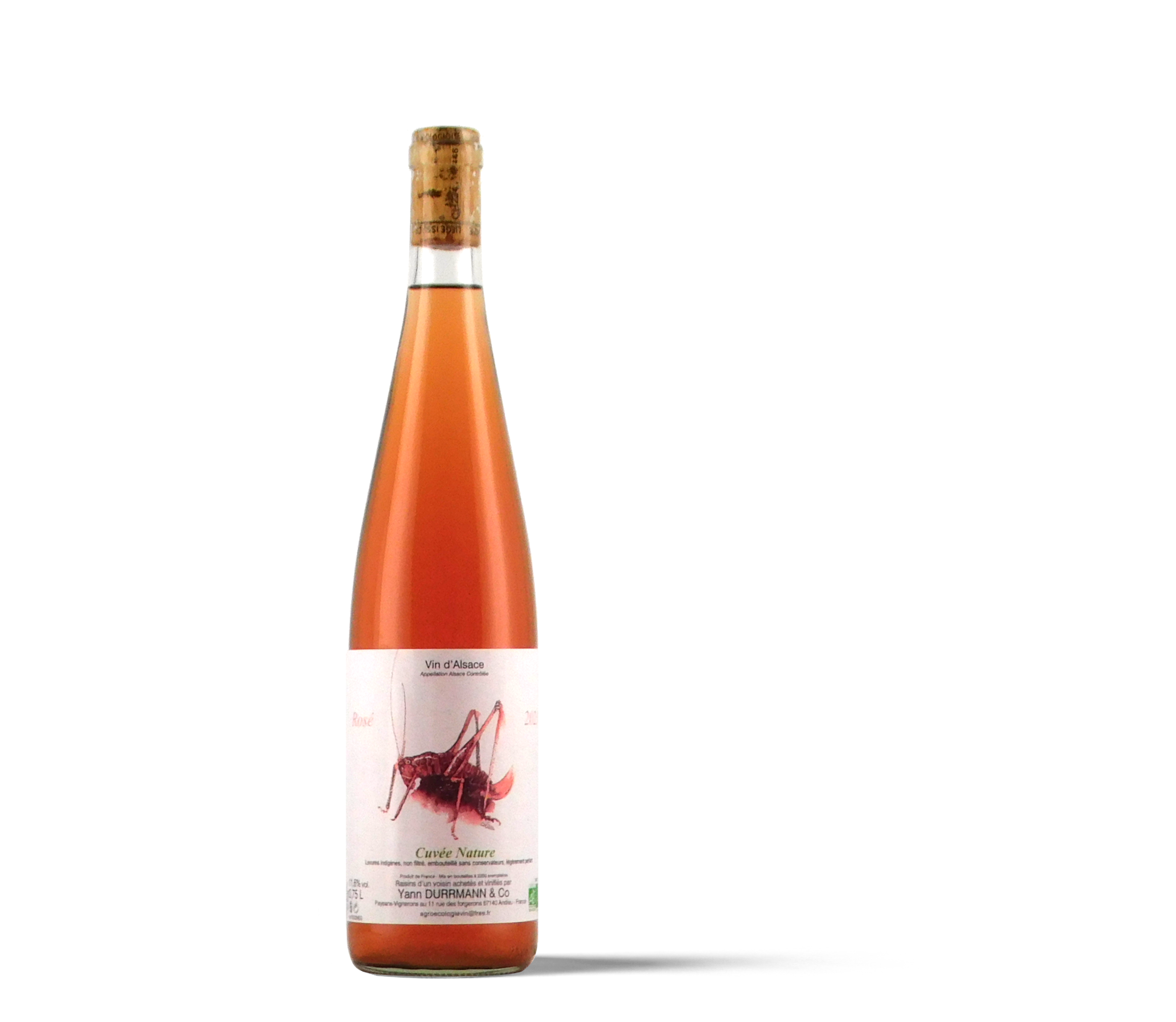 ROSÈ