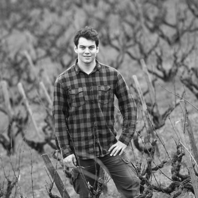 DOMAINE DE LA ROCHE, Francia / Beaujolais, Lantignié