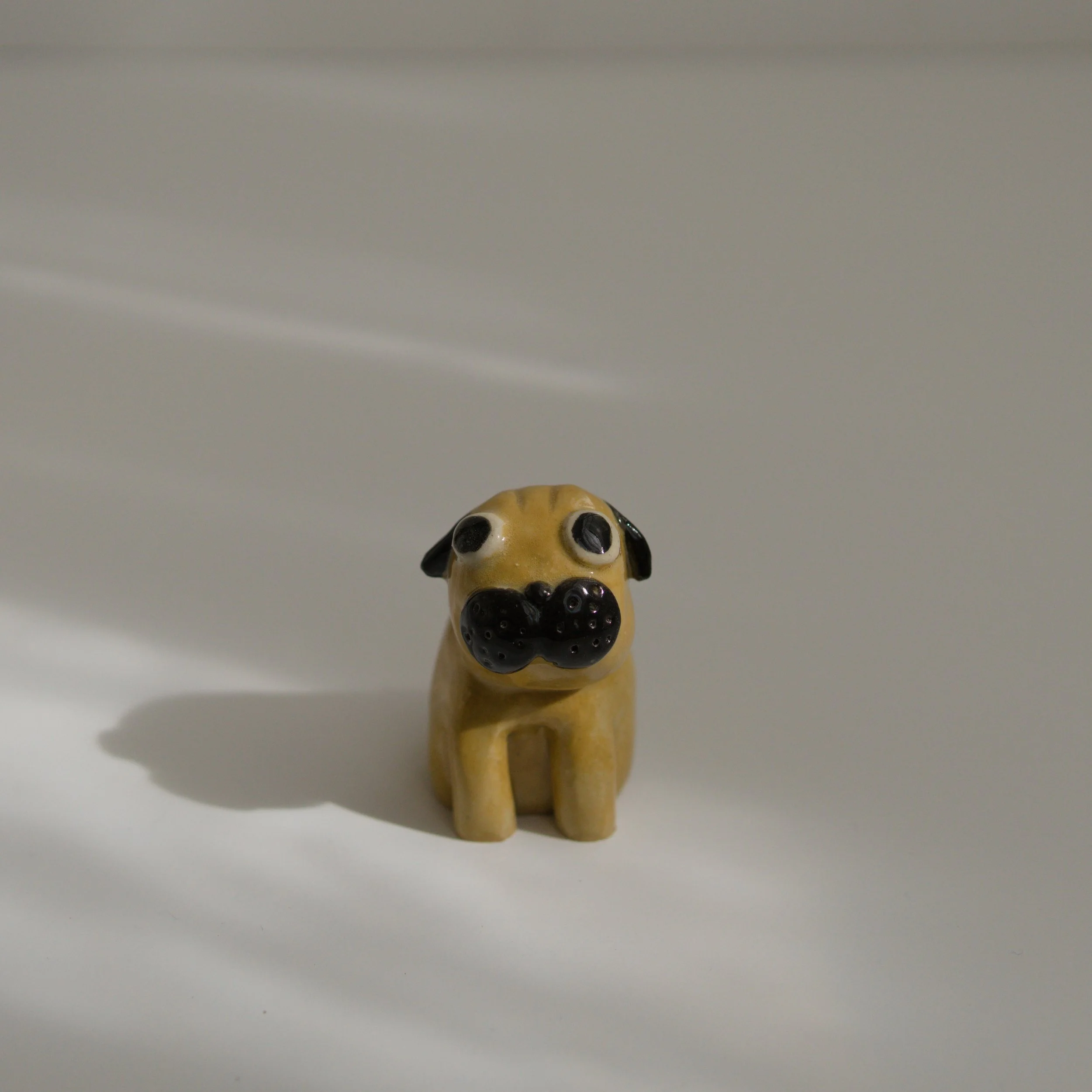 035_minipug_Brwon_front_sq_DSC0065.jpg