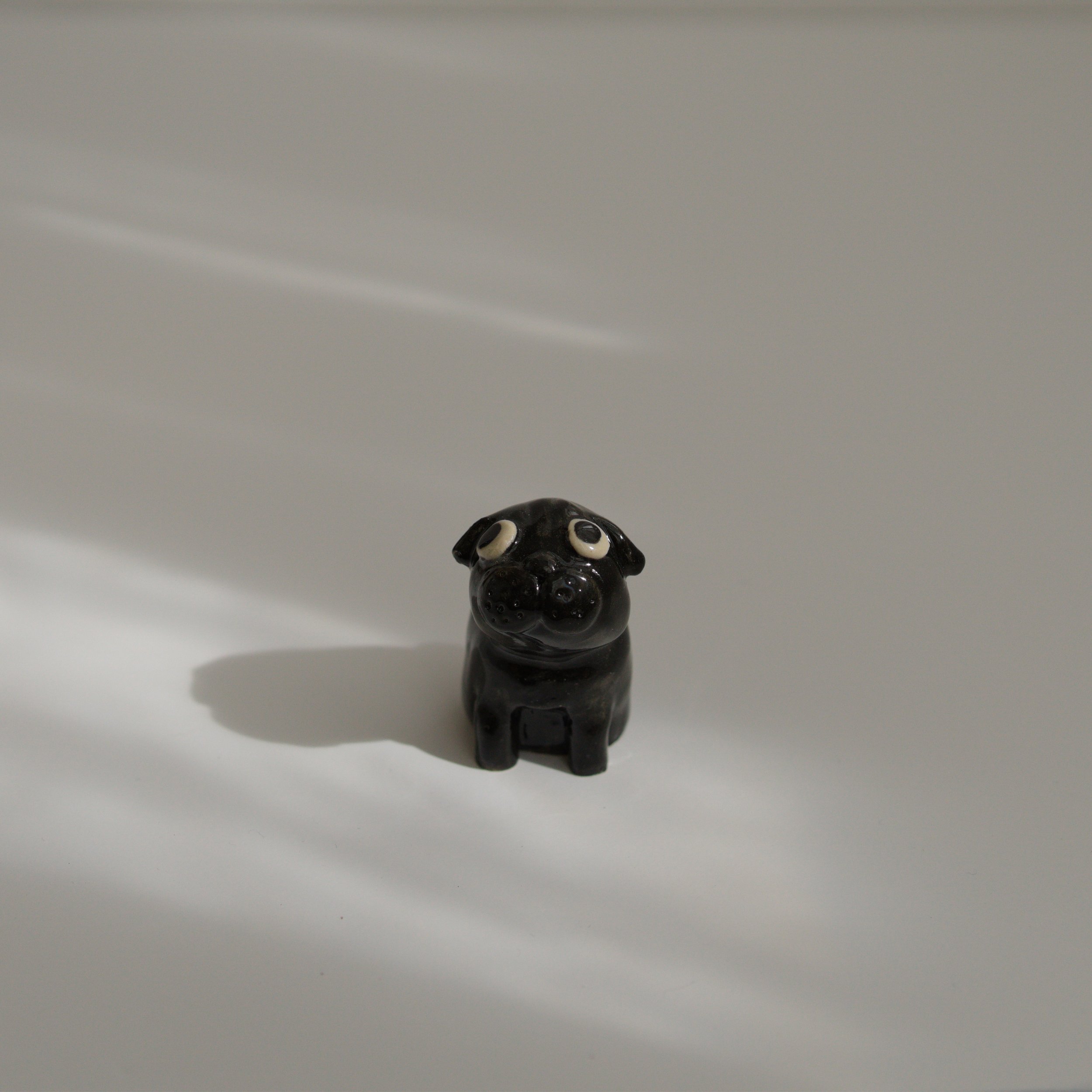 035_minipug_BW_front_sq_DSC0066.jpg