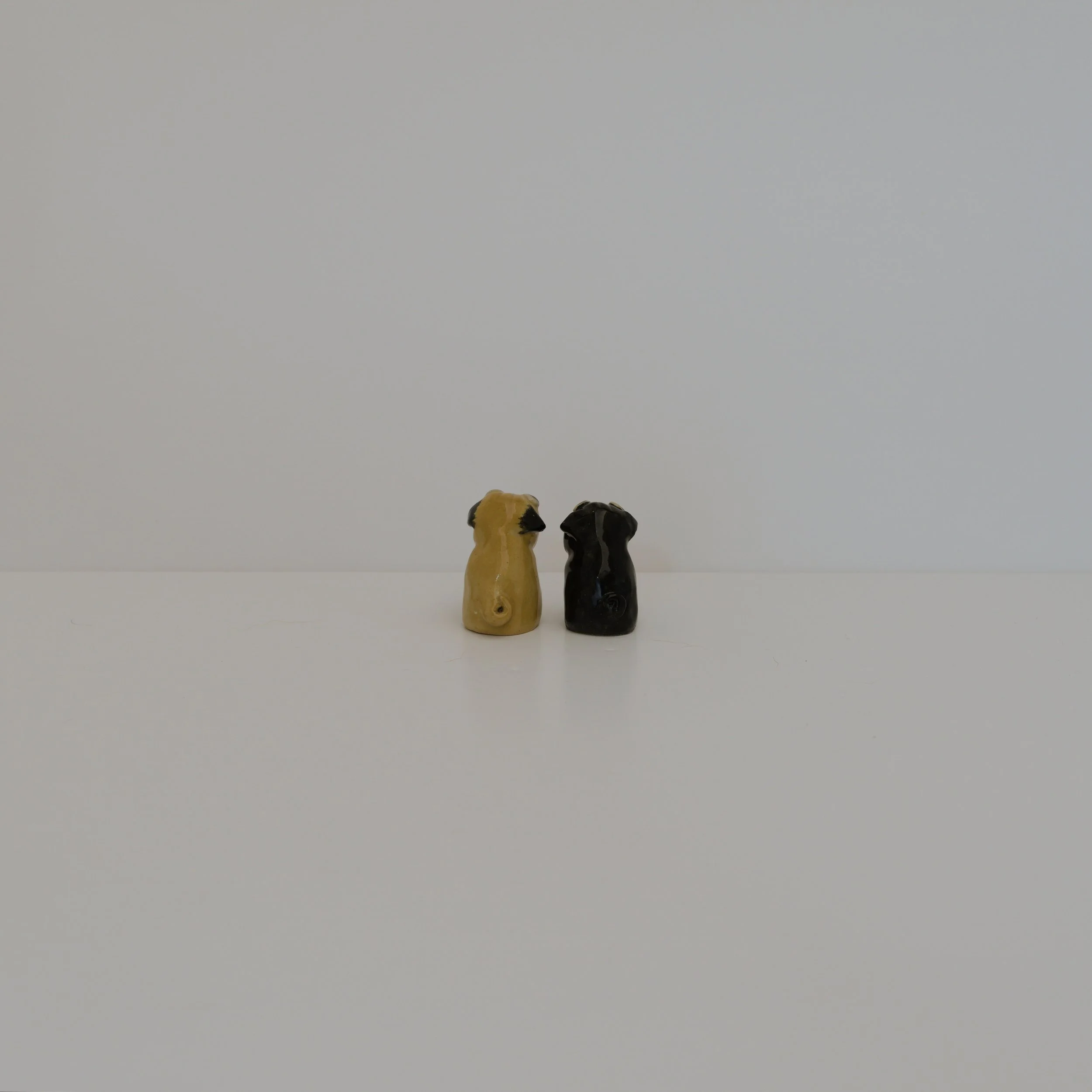 035_minipug_two_back_sq_033x00595.jpg