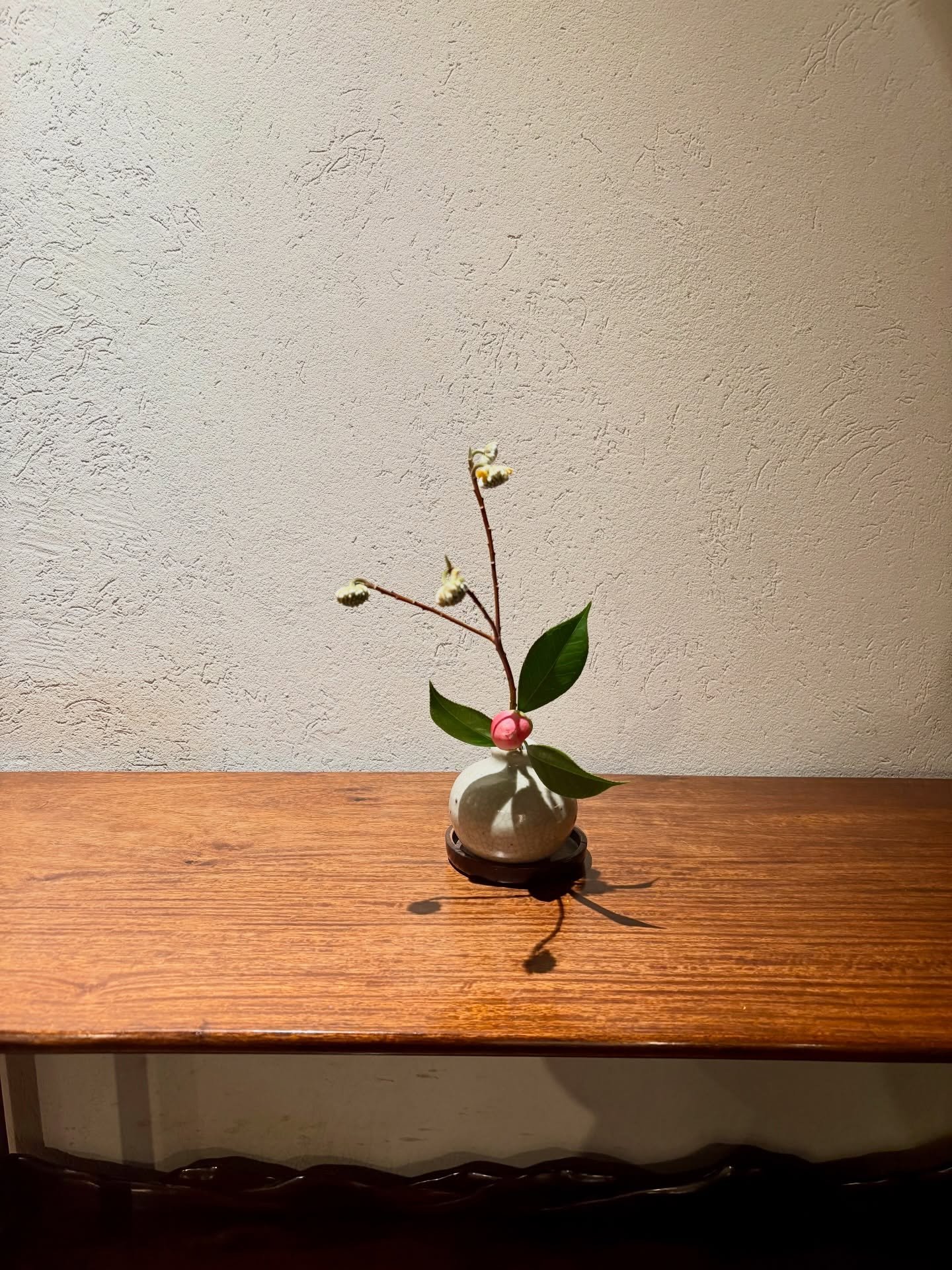 Day trip to Nara.
An ancient city, even older than Kyoto.

I love the colours here &mdash; subdued tones, dark old wood. The city is full of history, but it doesn&rsquo;t shout about it. feels calm and quiet.

Temples, traditional sweet shops, tea ho
