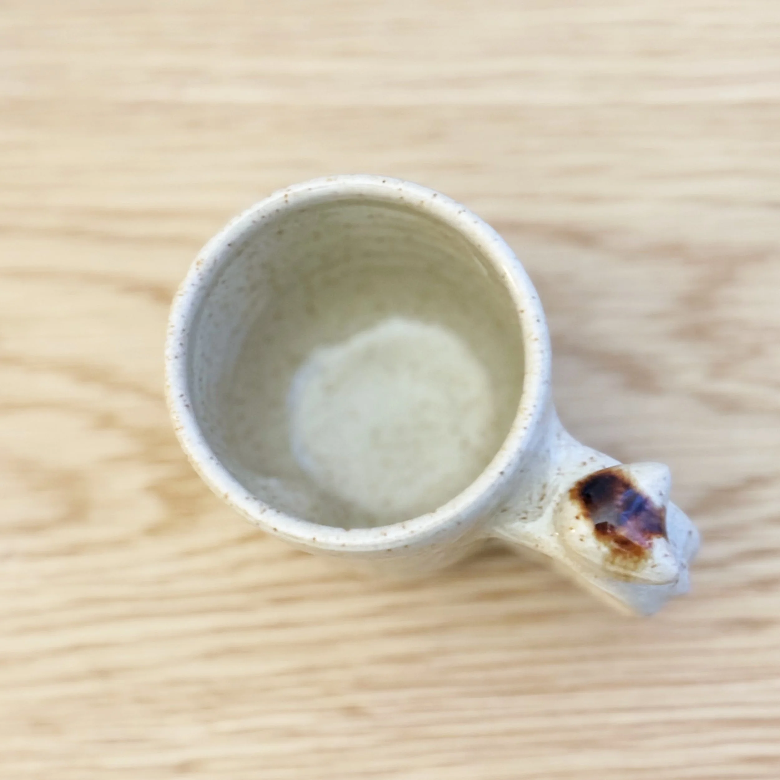 esp shino IMG_9620b.jpg