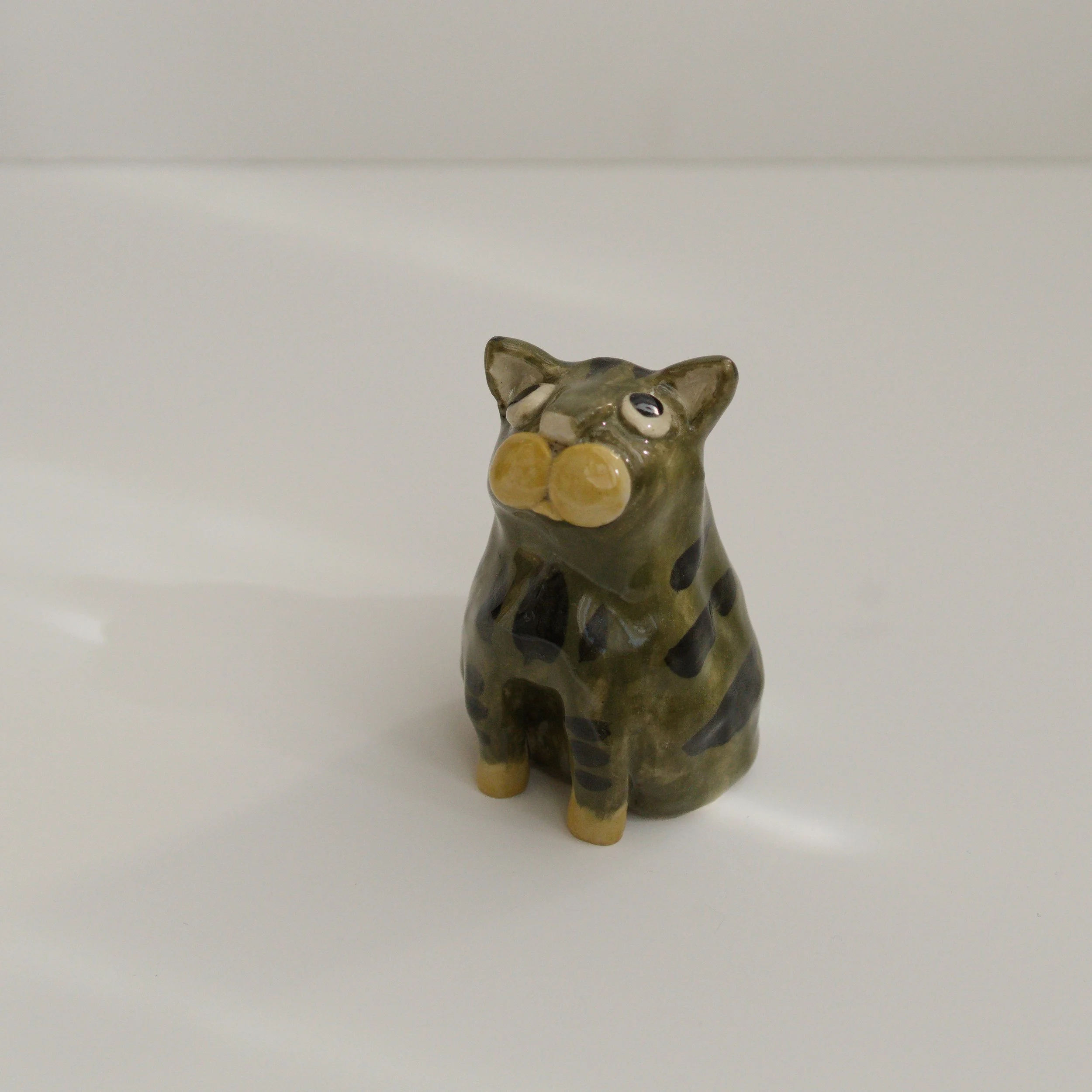 035_catvaseS_tabby_front_sq_DSC0047.jpg