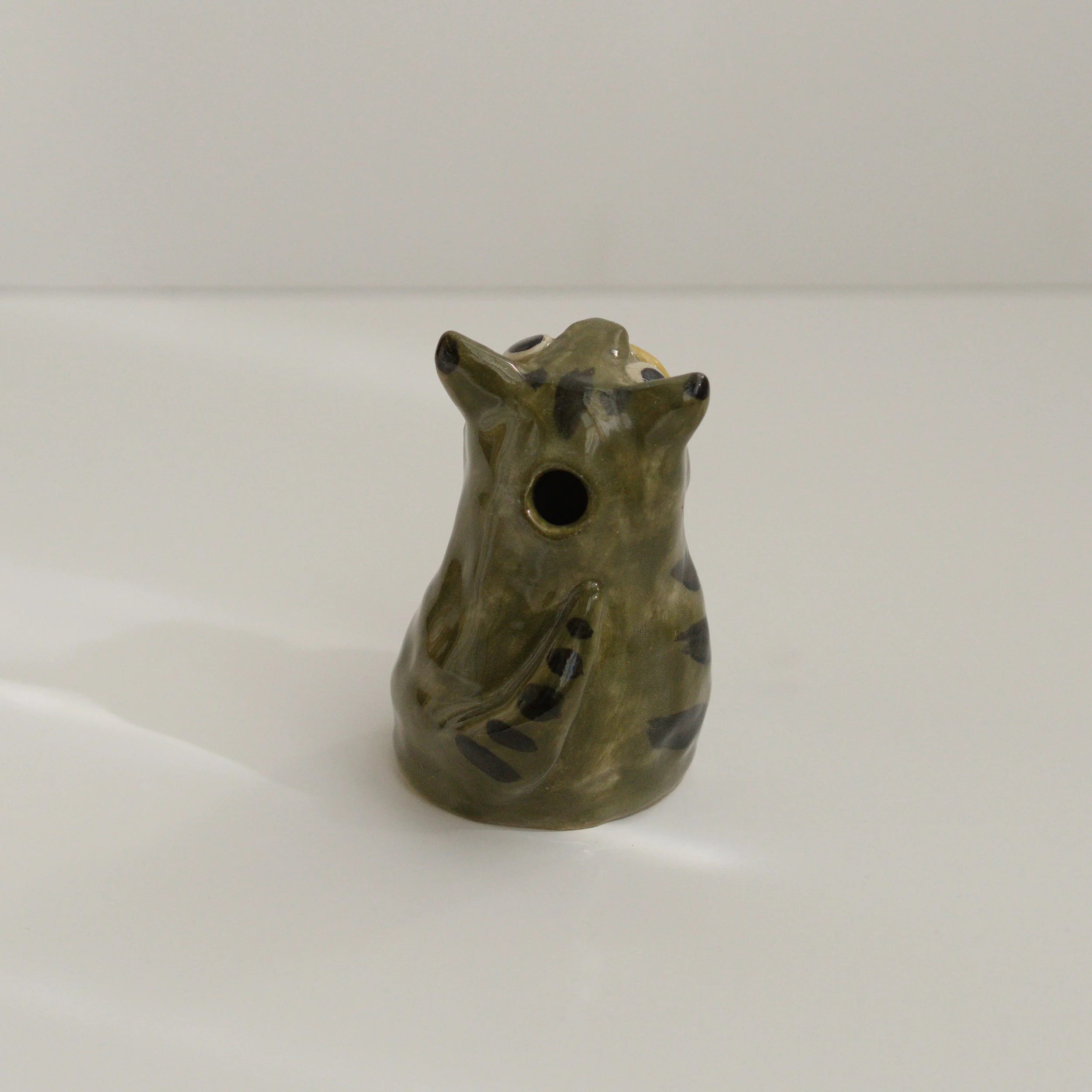 035_catvaseS_tabby_back_sq_DSC0050.jpg