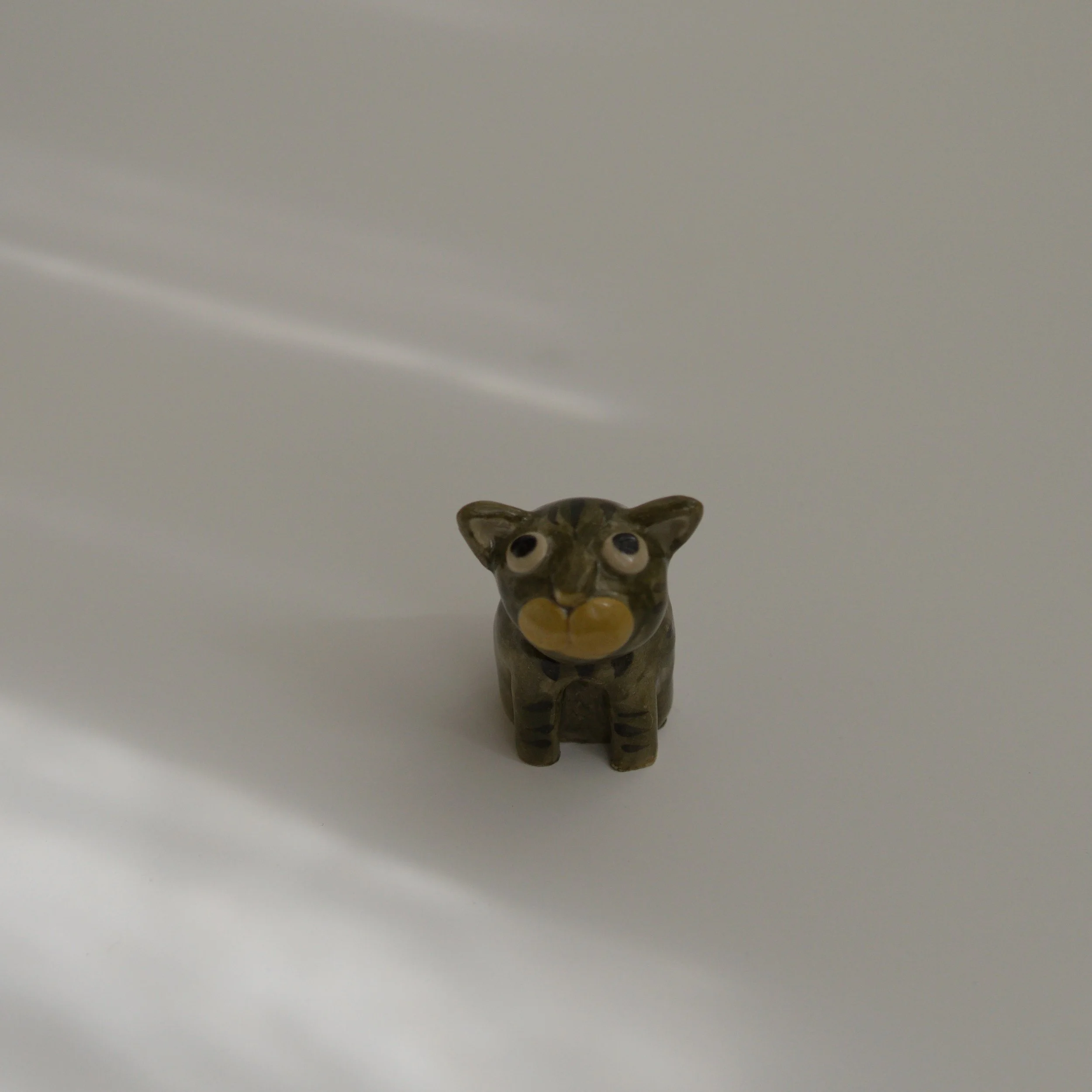 035_minicat_tabby_front_sq_DSC0057.jpg