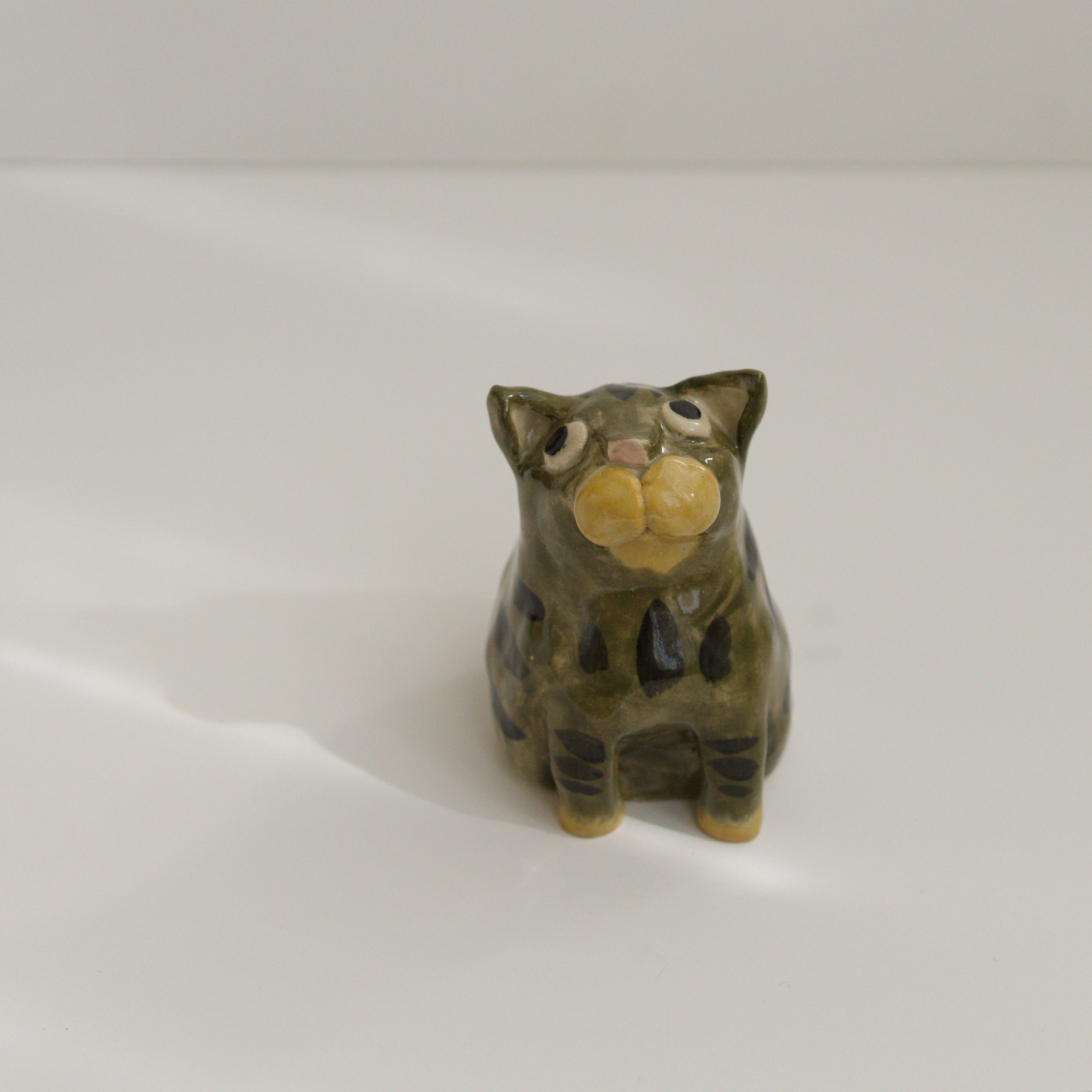 035_catvaseS_tabby_front_sq_DSC0046.jpg
