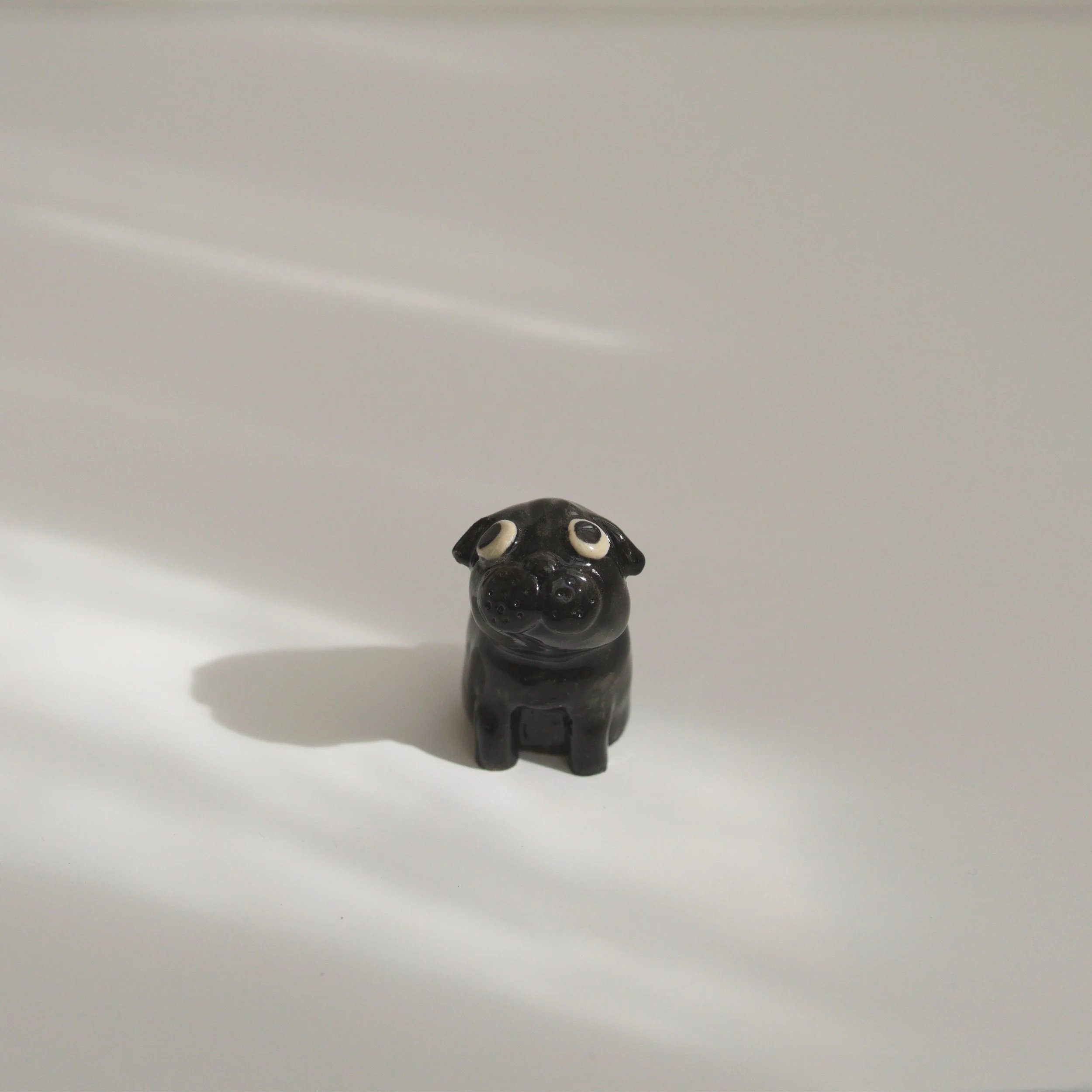 035_minipug_BW_front_sq_DSC0066.jpg