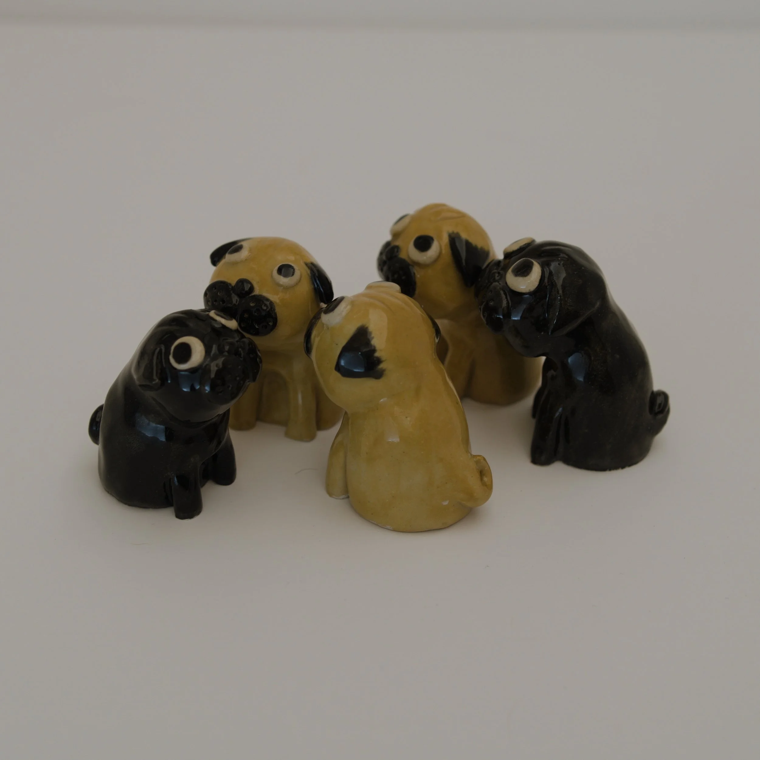 035_minipug_group_side_sq_033x00586.jpg