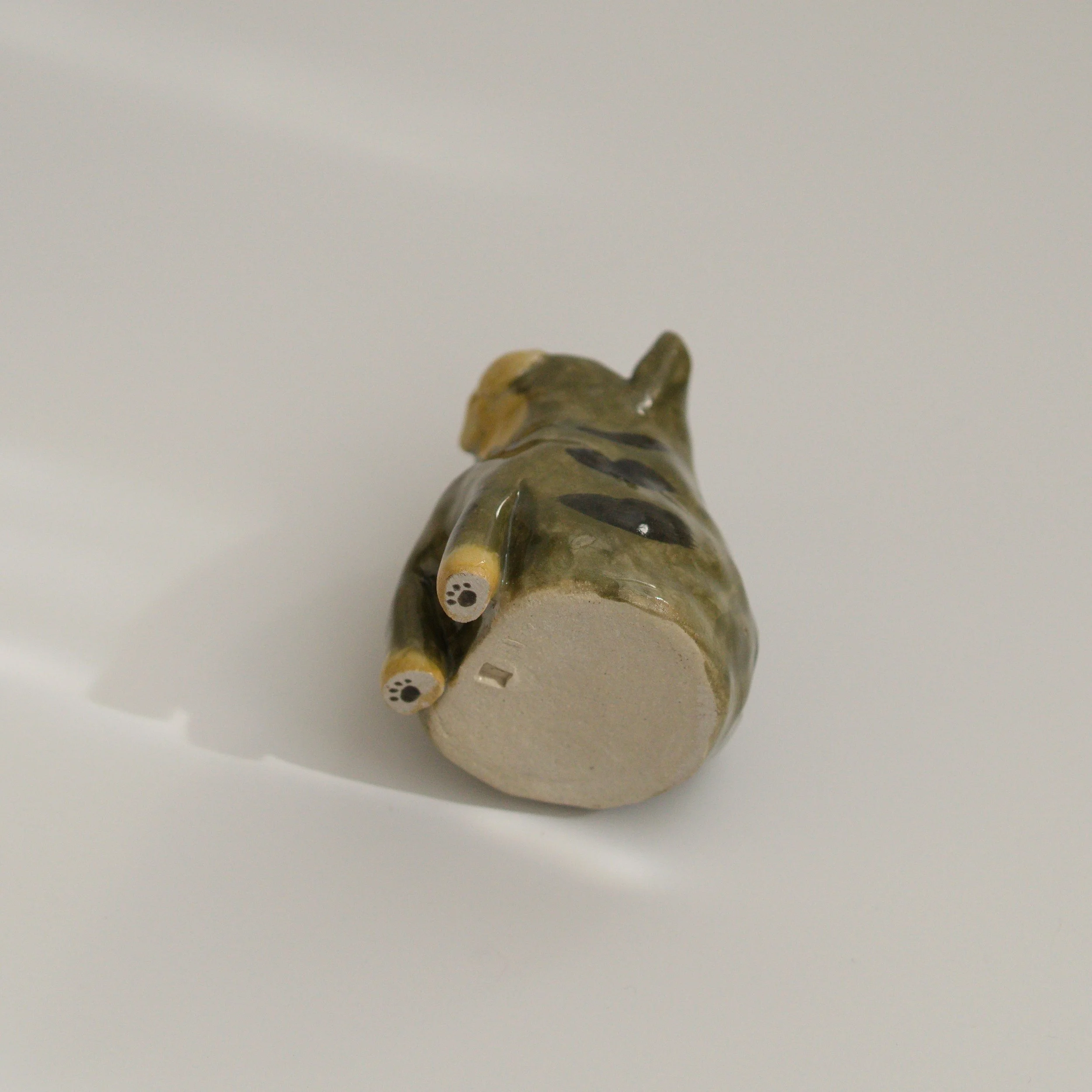 035_catvaseS_tabby_paw_sq_DSC0044.jpg