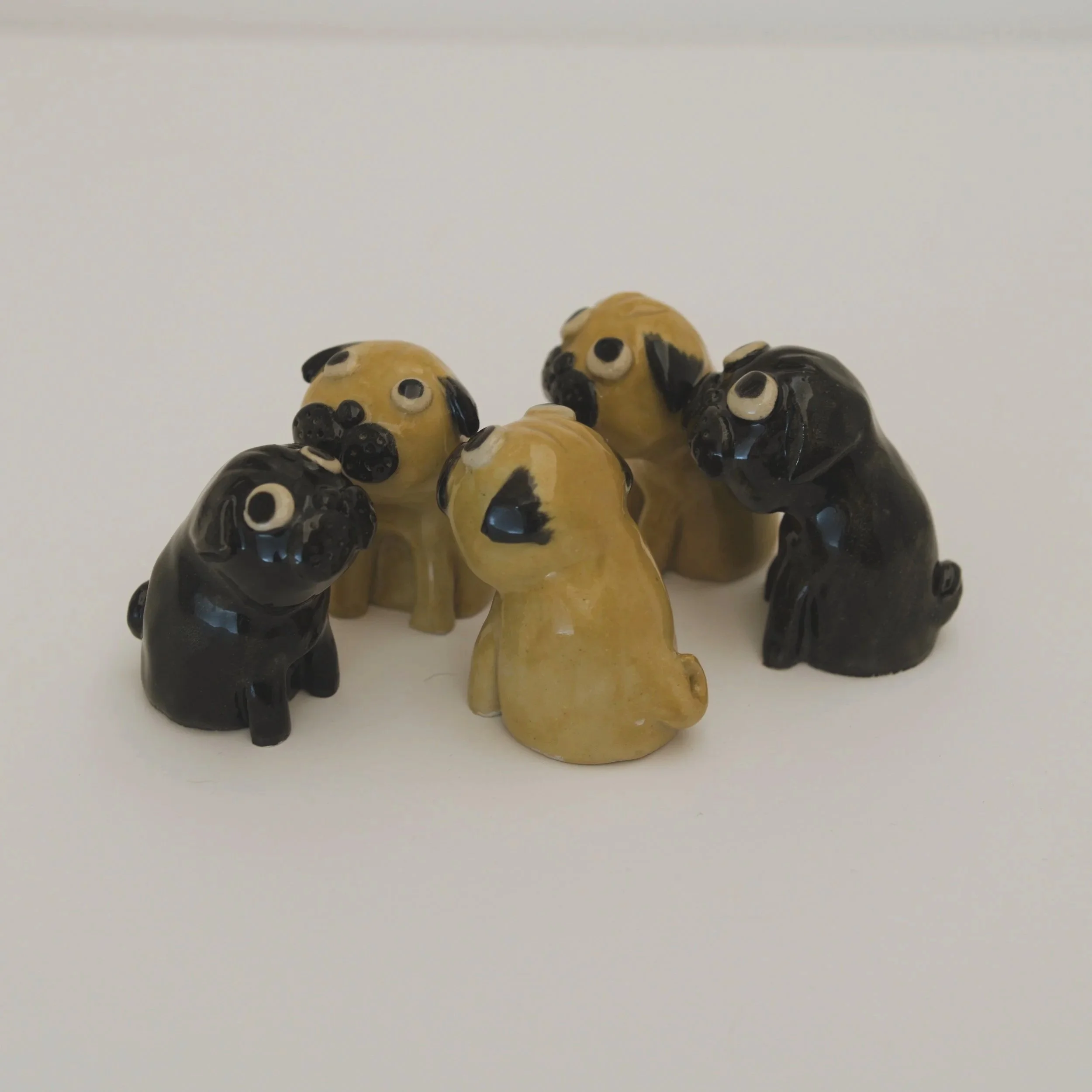 035_minipug_group_side_sq_033x00586.jpg