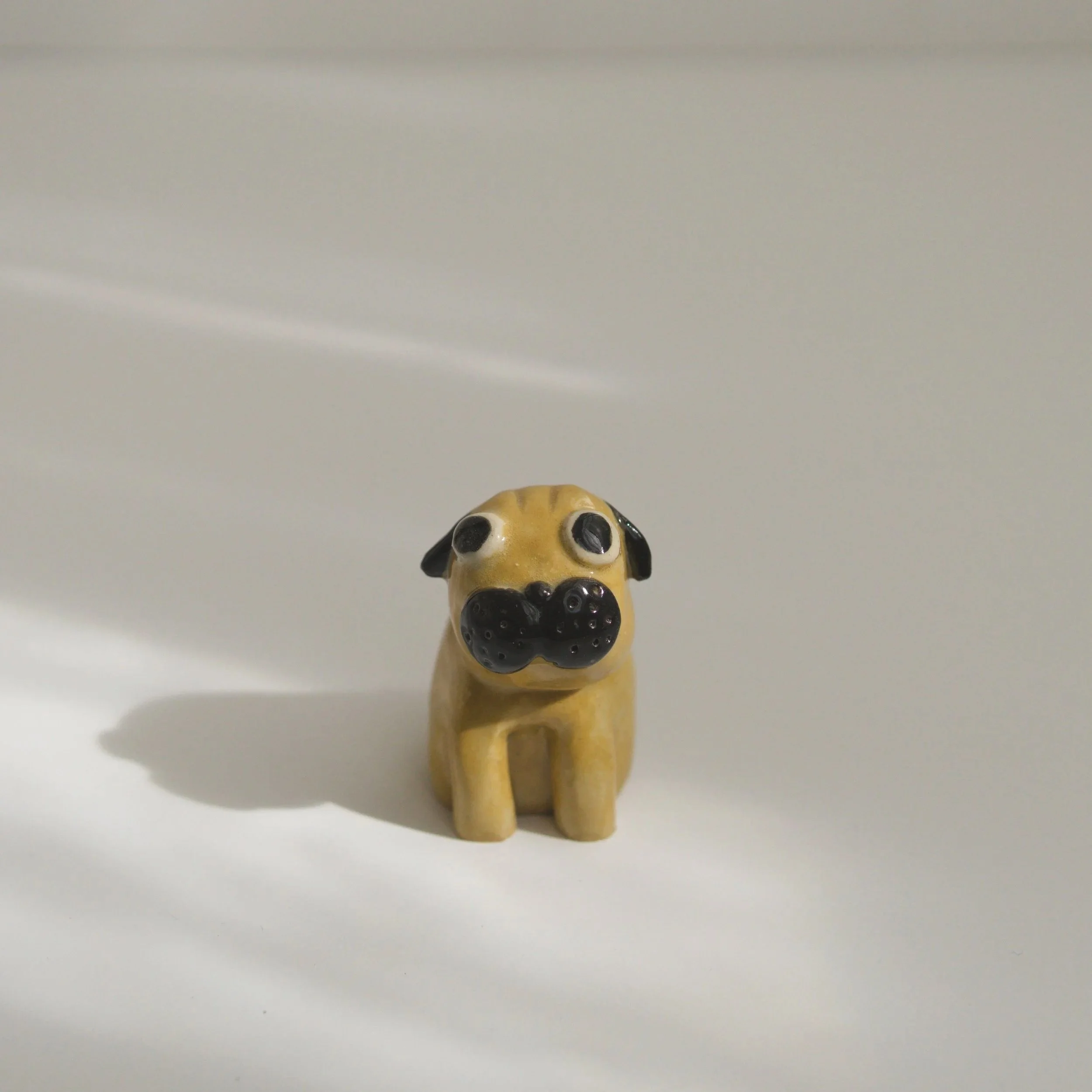 035_minipug_Brwon_front_sq_DSC0065.jpg