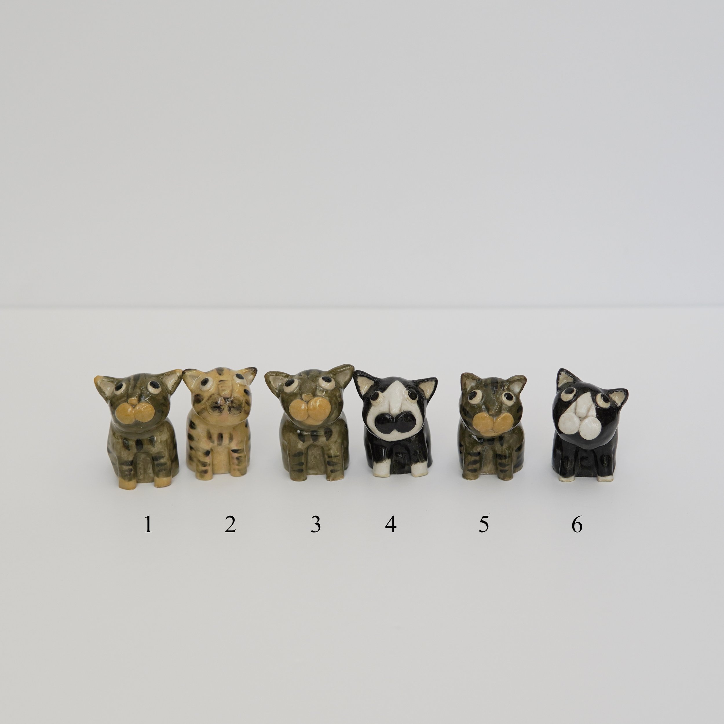 039_minicats_group_front_numbered_DSC0683.jpg