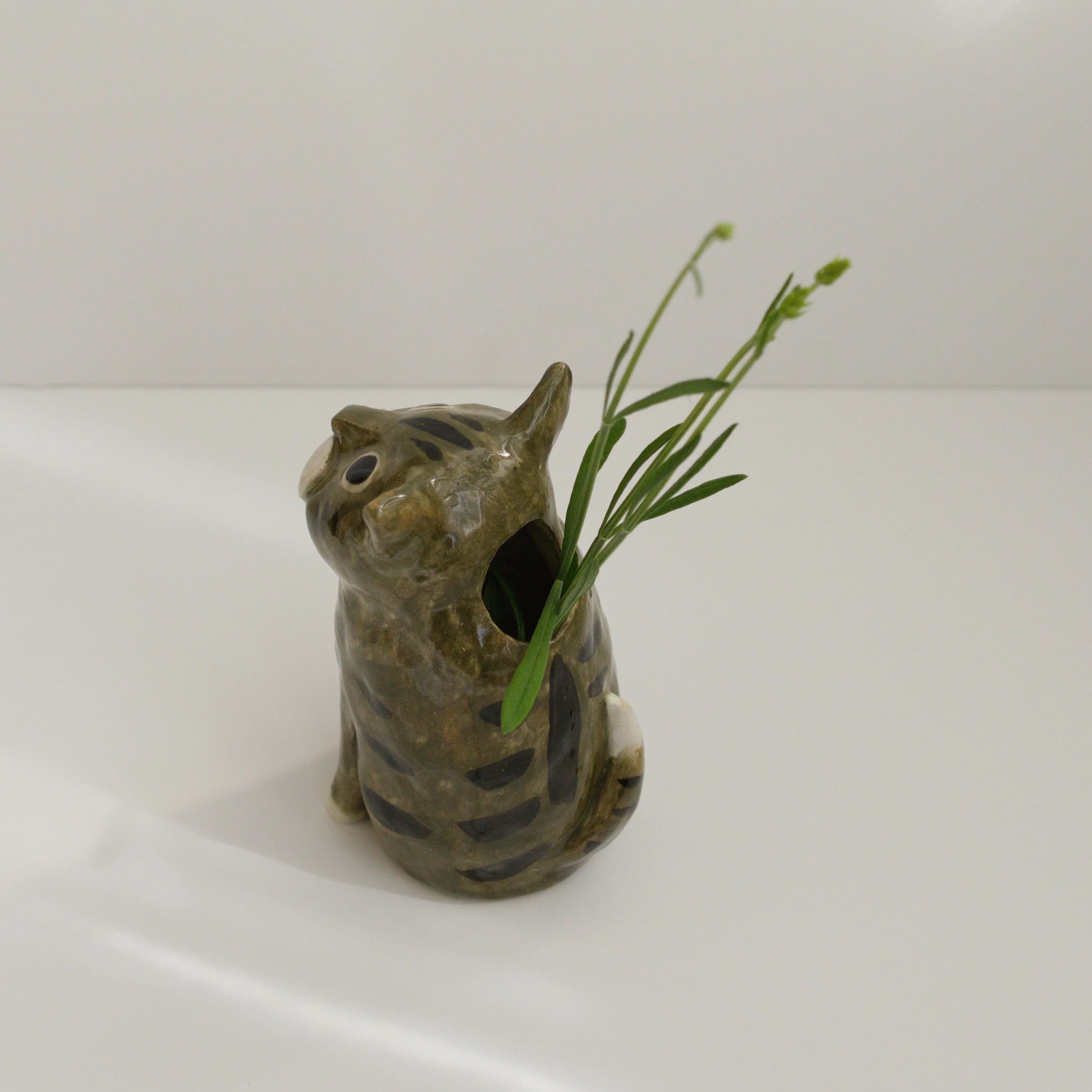 035_catvaseL_tabby_back_sq_DSC0027.jpg