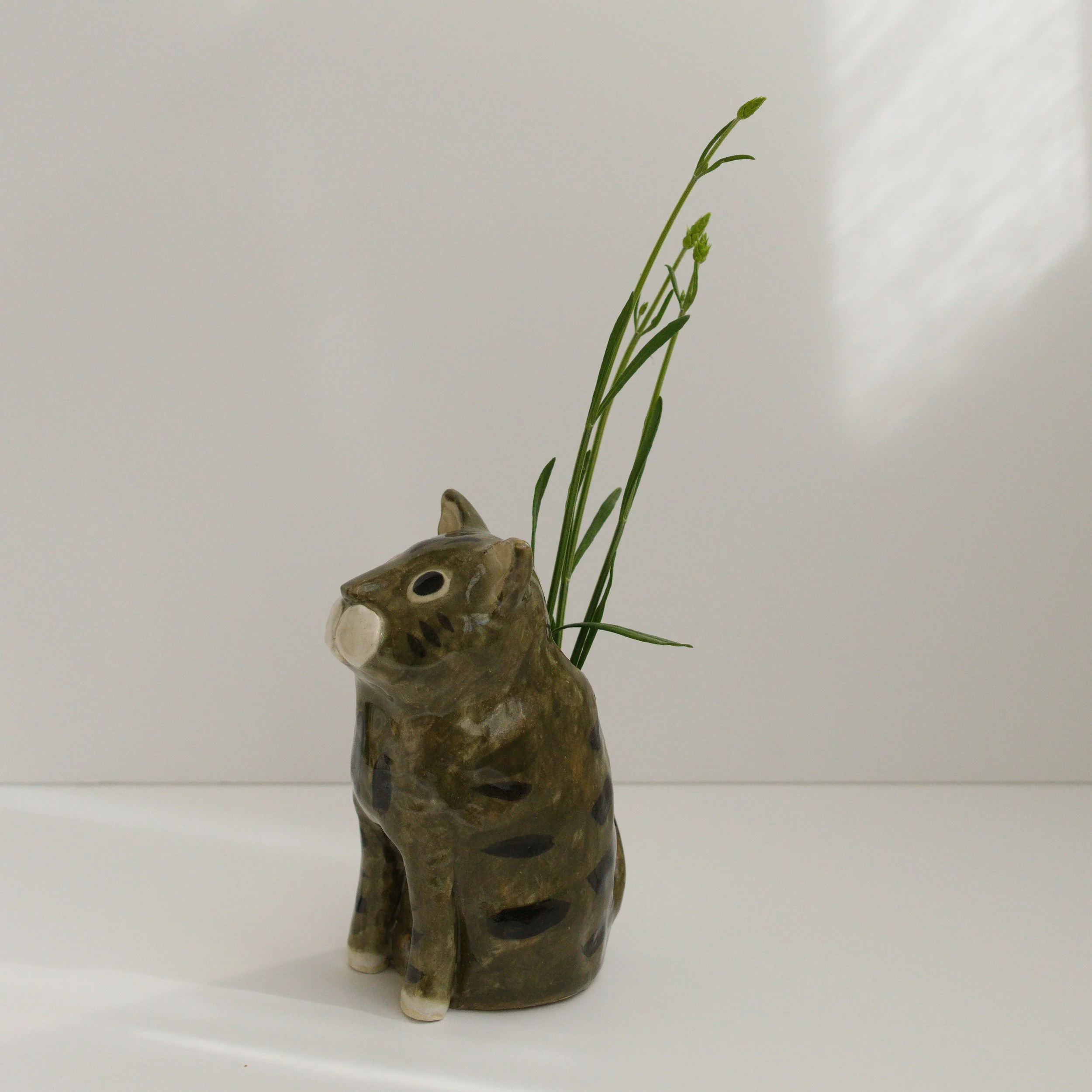 035_catvaseL_tabby_side_sq_DSC0026.jpg