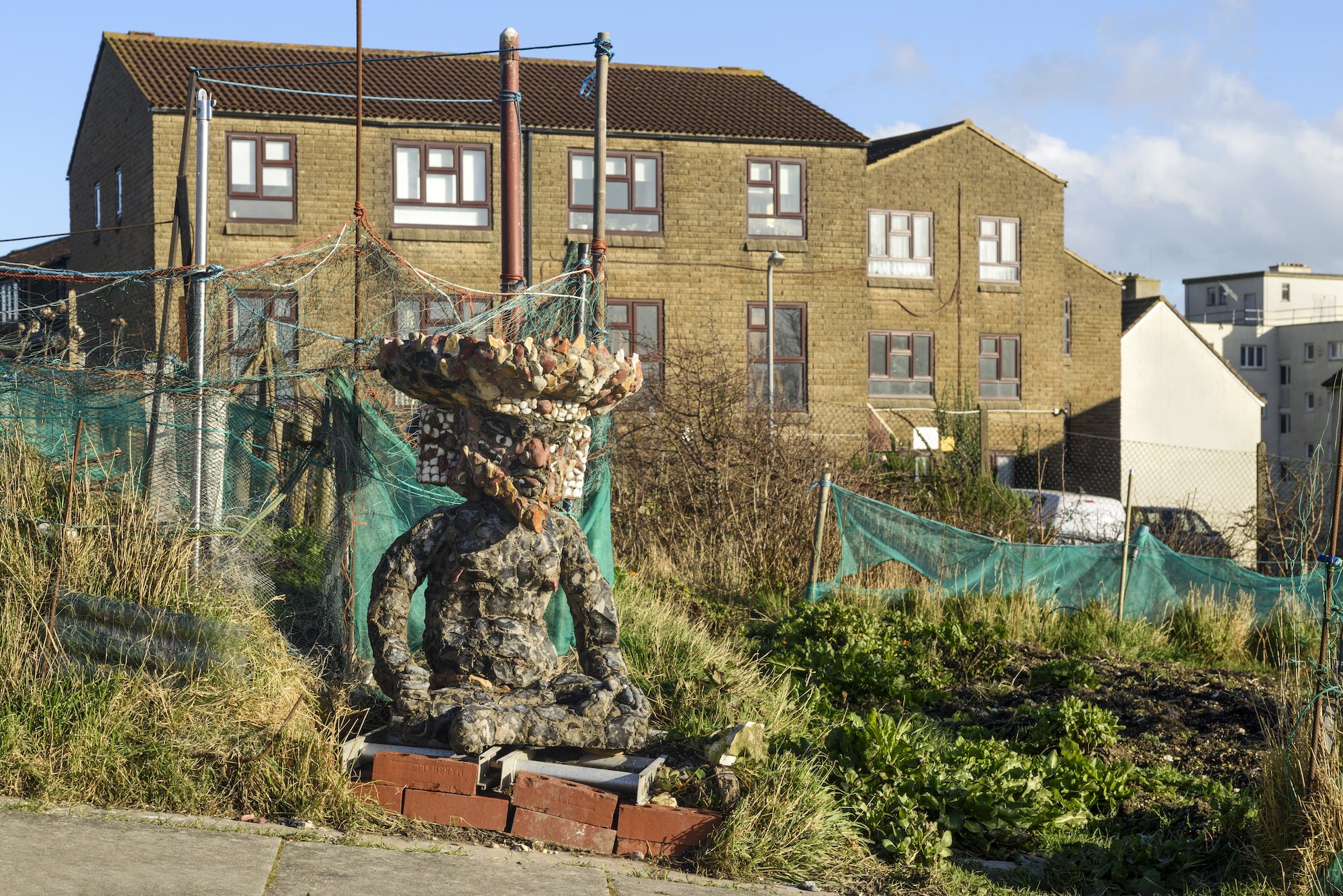 The Keepers Project-Rory McCormack Allotment 1.jpg