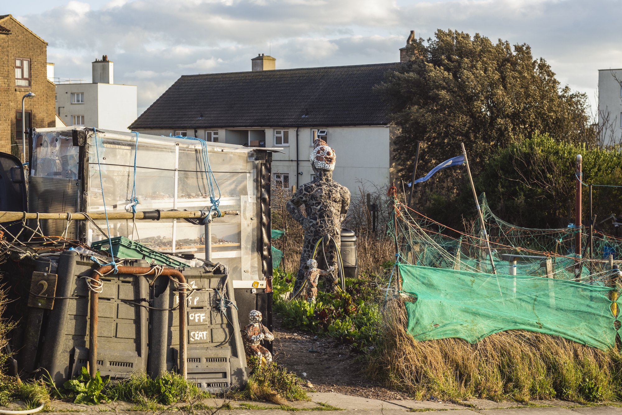 The Keepers Project-Rory McCormack Allotment 6.jpg