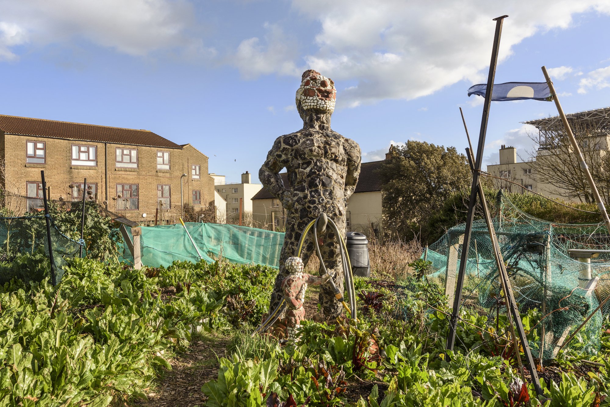 The Keepers Project-Rory McCormack Allotment 7.jpg