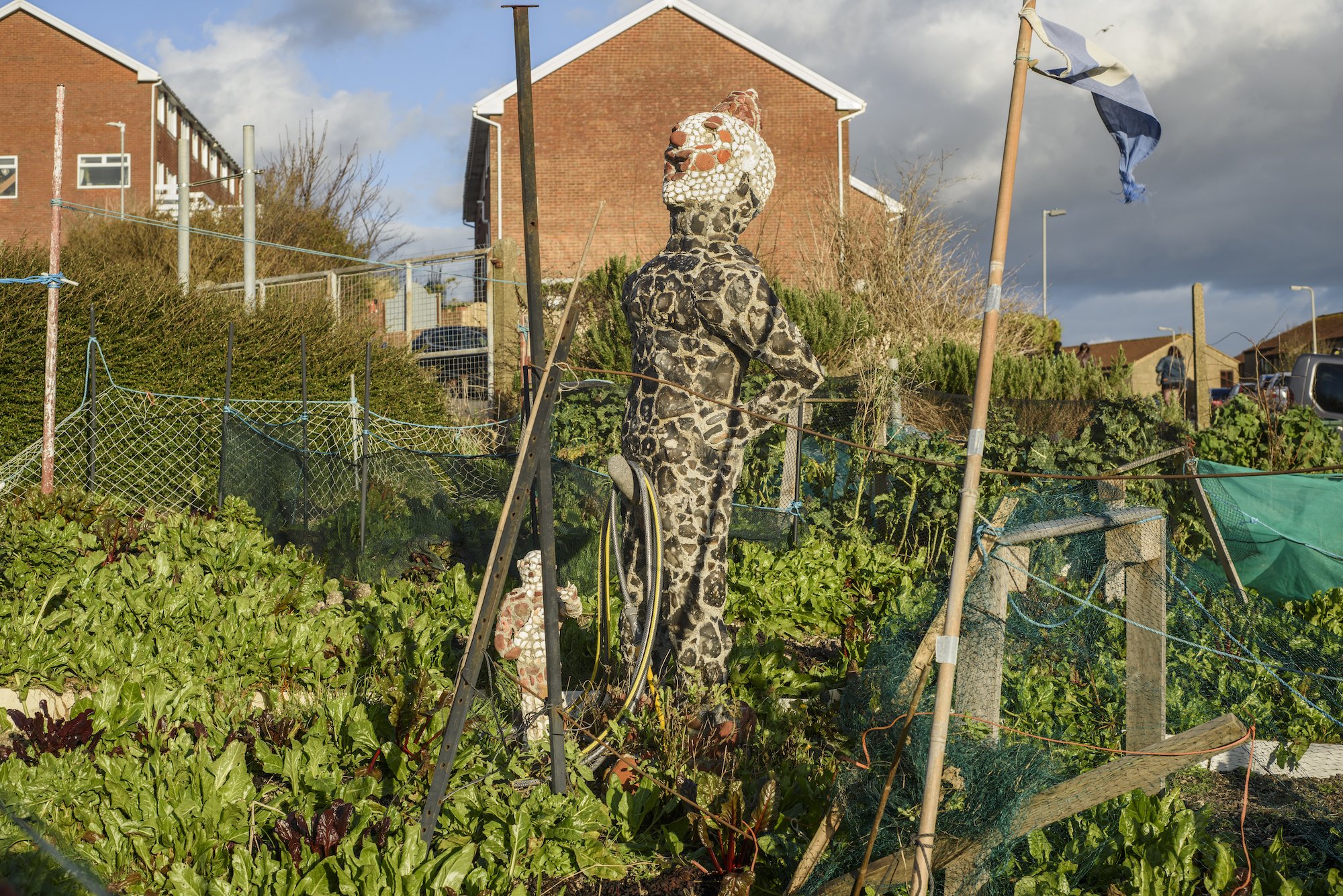 The Keepers Project-Rory McCormack Allotment 8.jpg