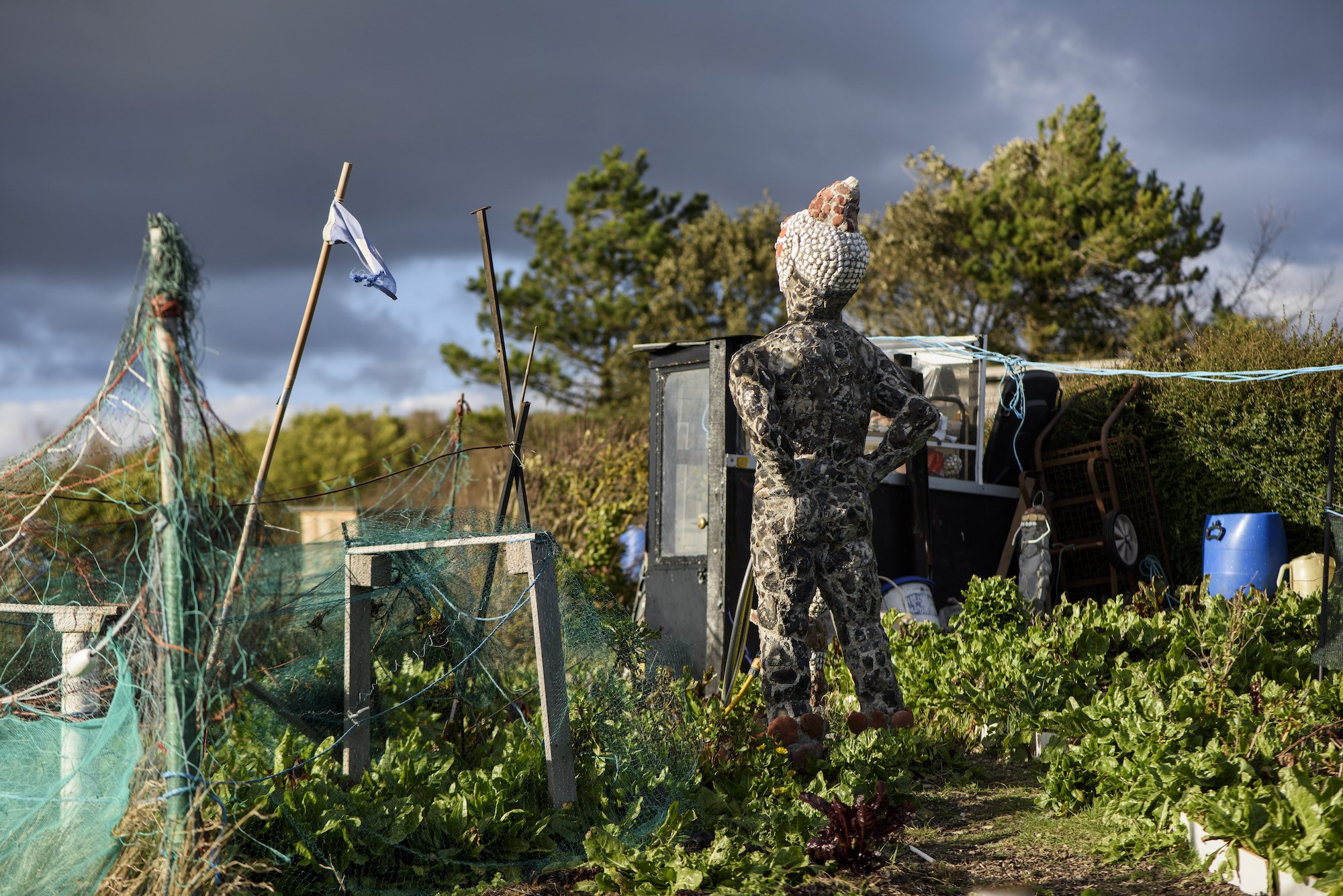 The Keepers Project-Rory McCormack Allotment 9.jpg