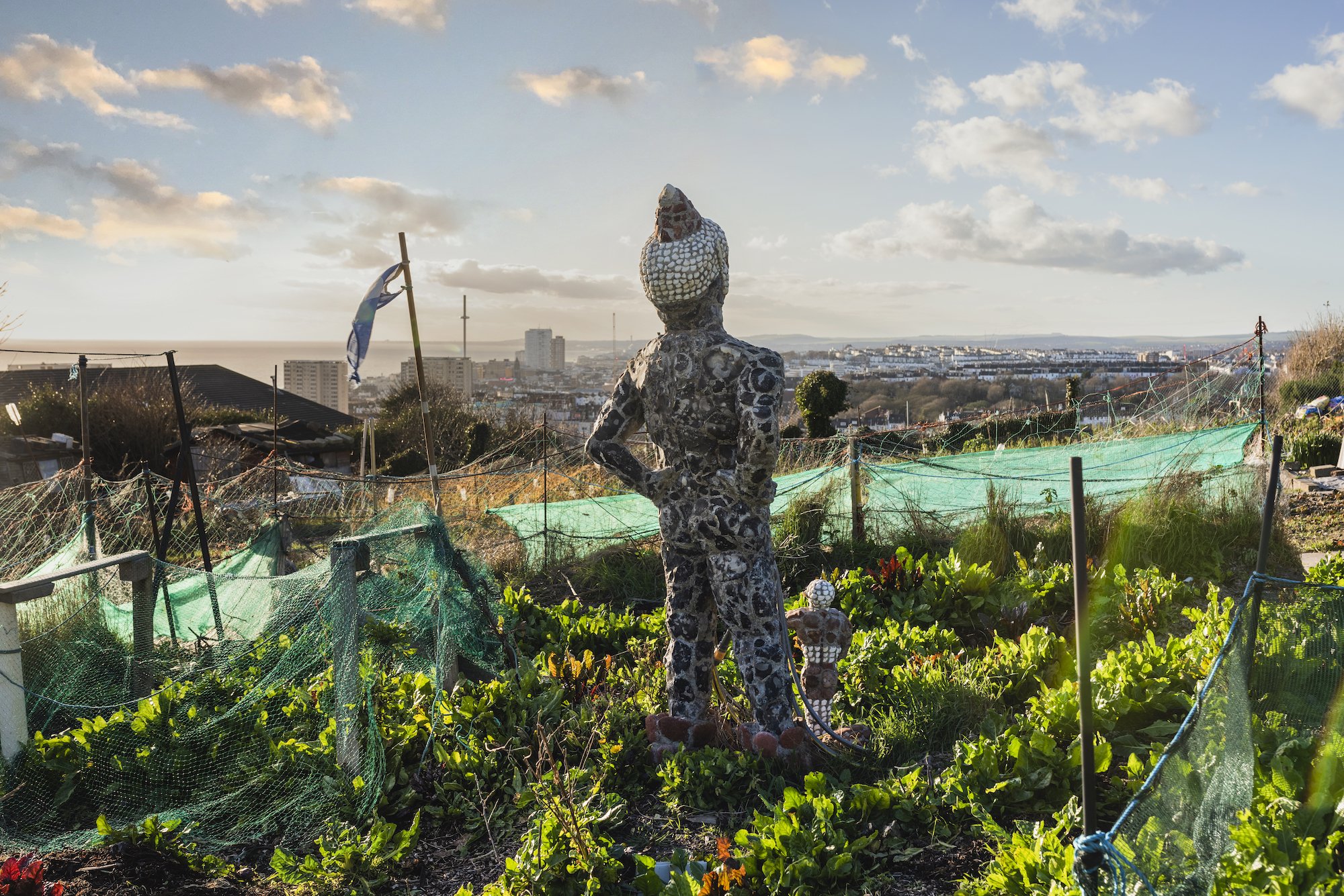 The Keepers Project-Rory McCormack Allotment 11.jpg