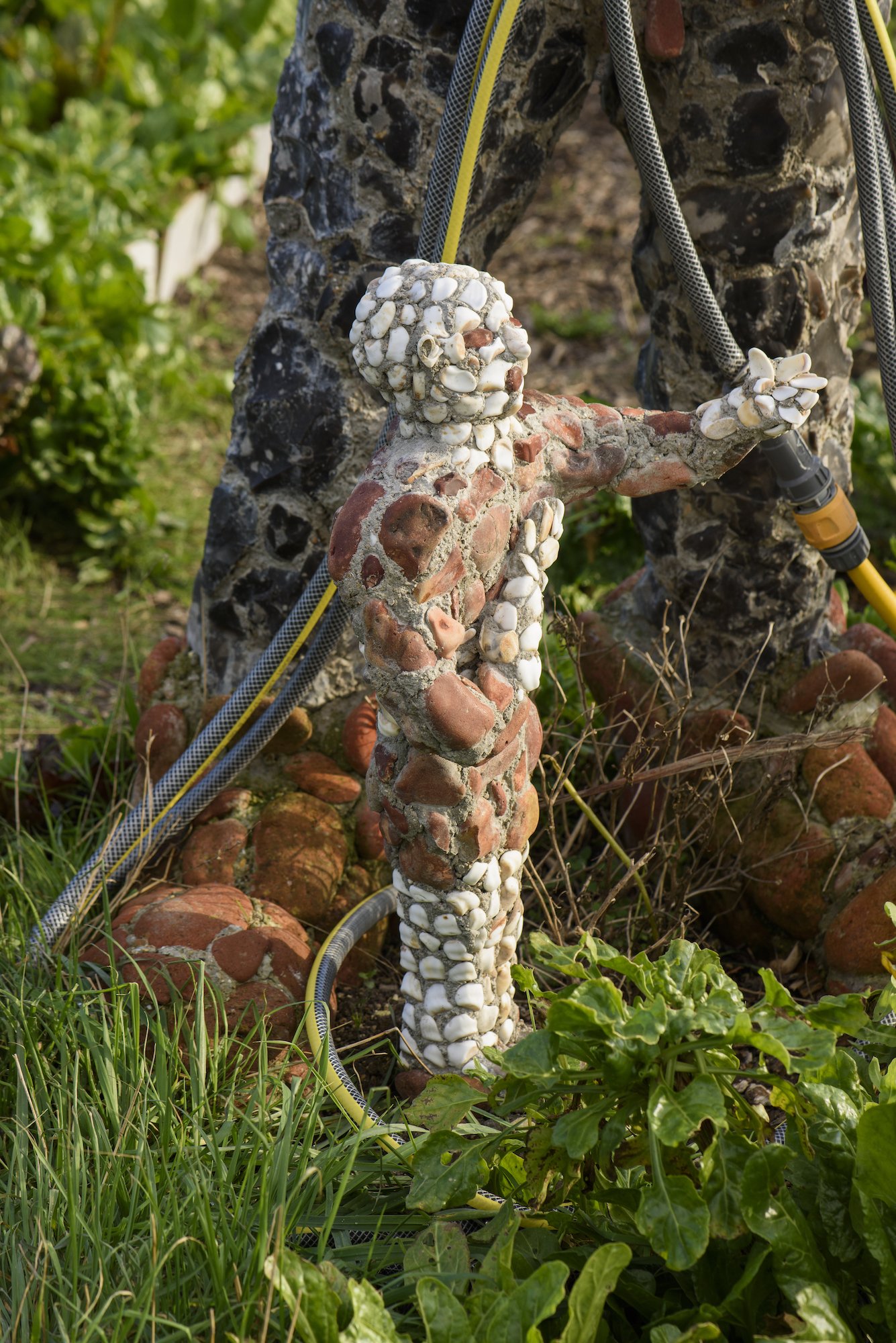 The Keepers Project-Rory McCormack Allotment 12.jpg