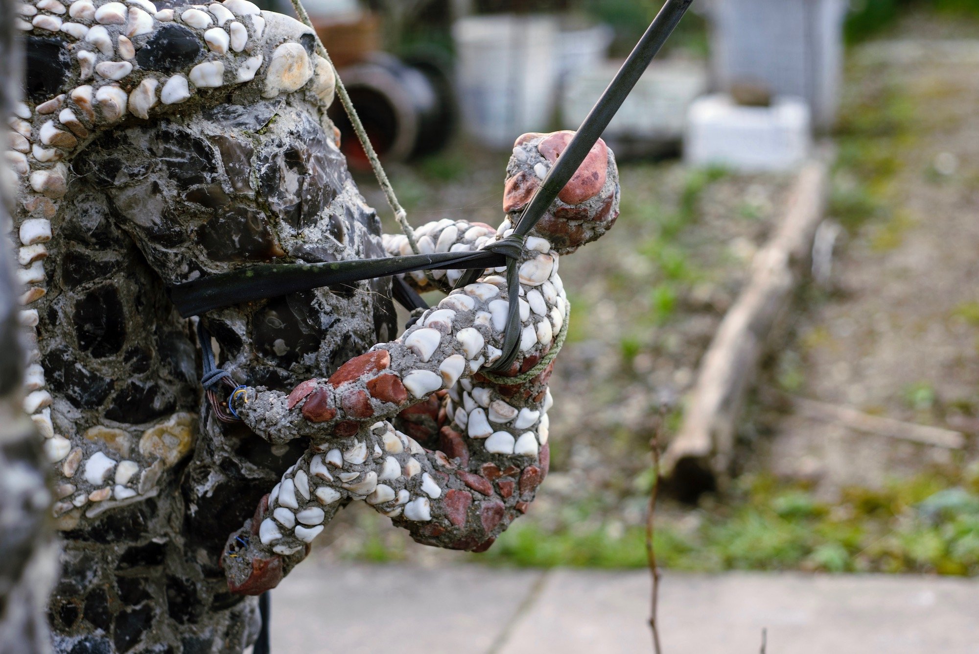 The Keepers Project-Rory McCormack Allotment 15.jpg