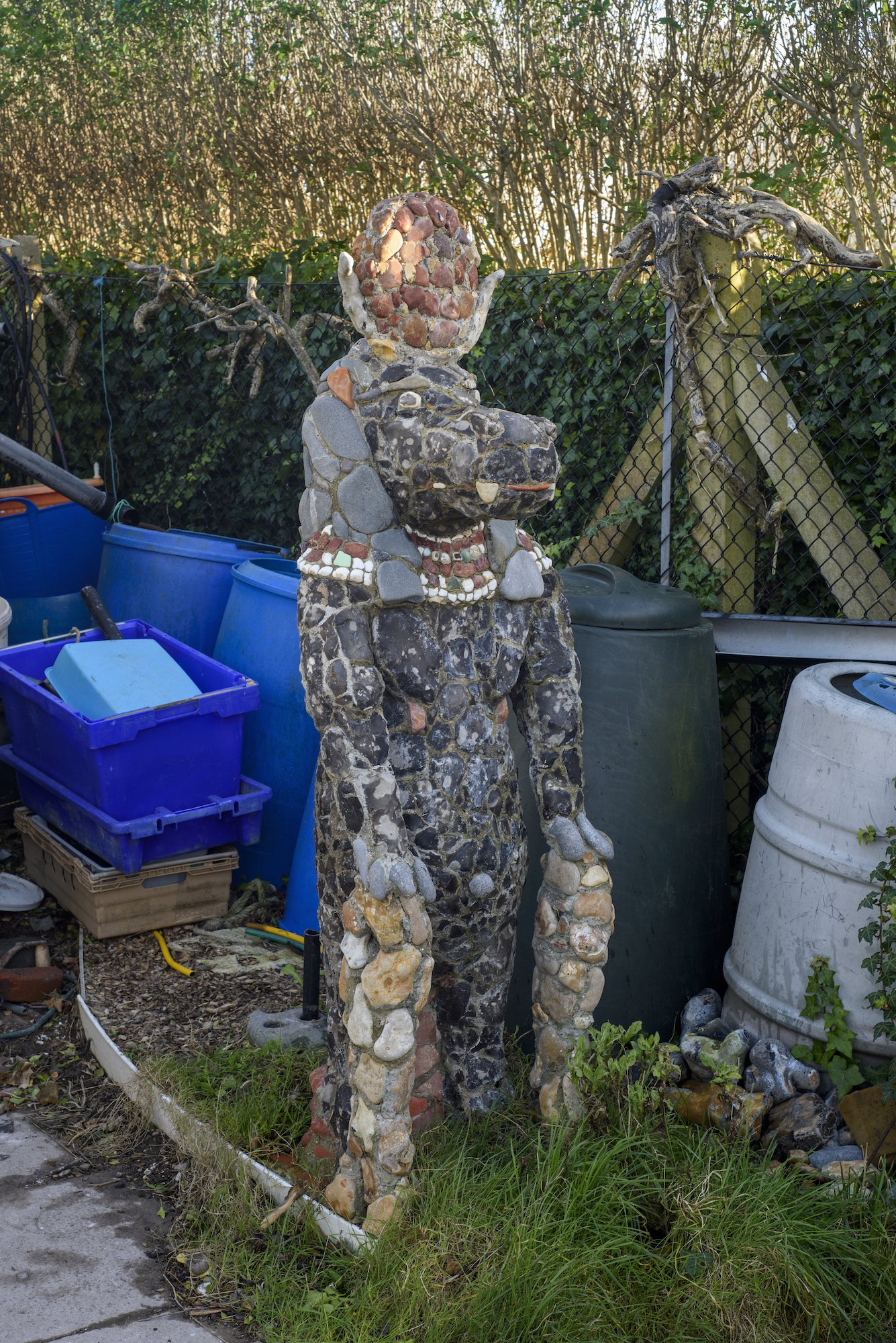 The Keepers Project-Rory McCormack Allotment 18.jpg