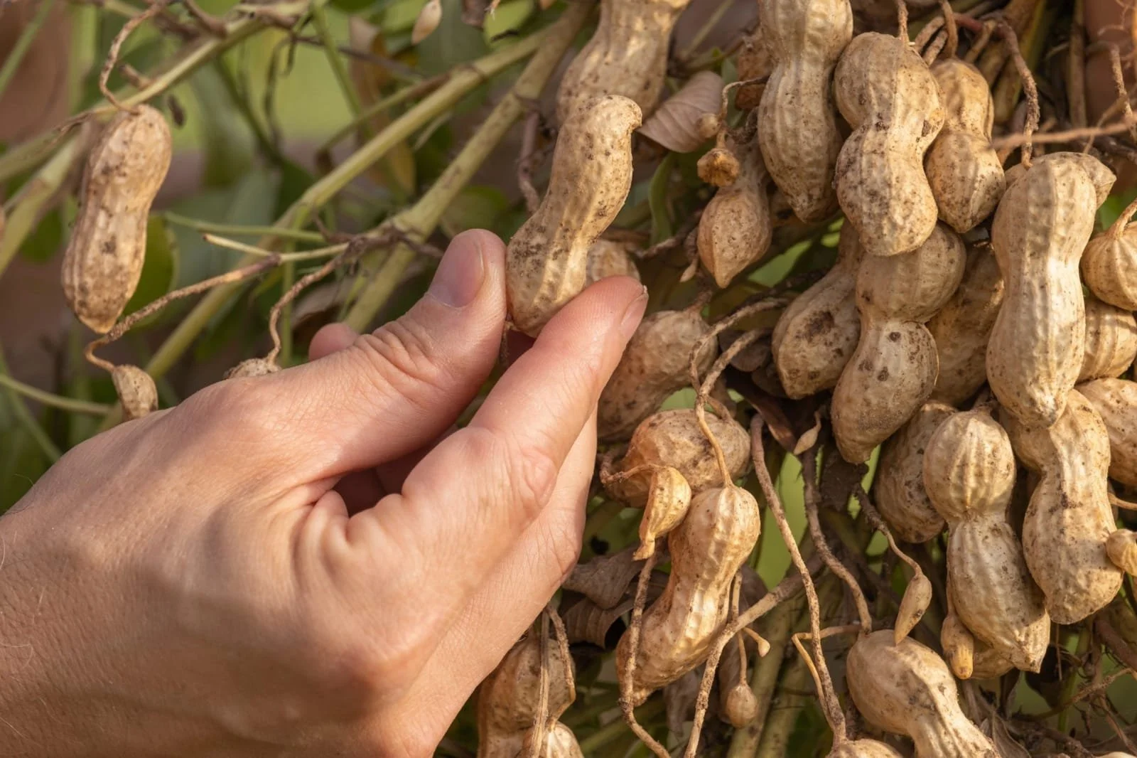 WhatsApp Image 2024-04-21 at 13.32.19_afd83d69.jpg