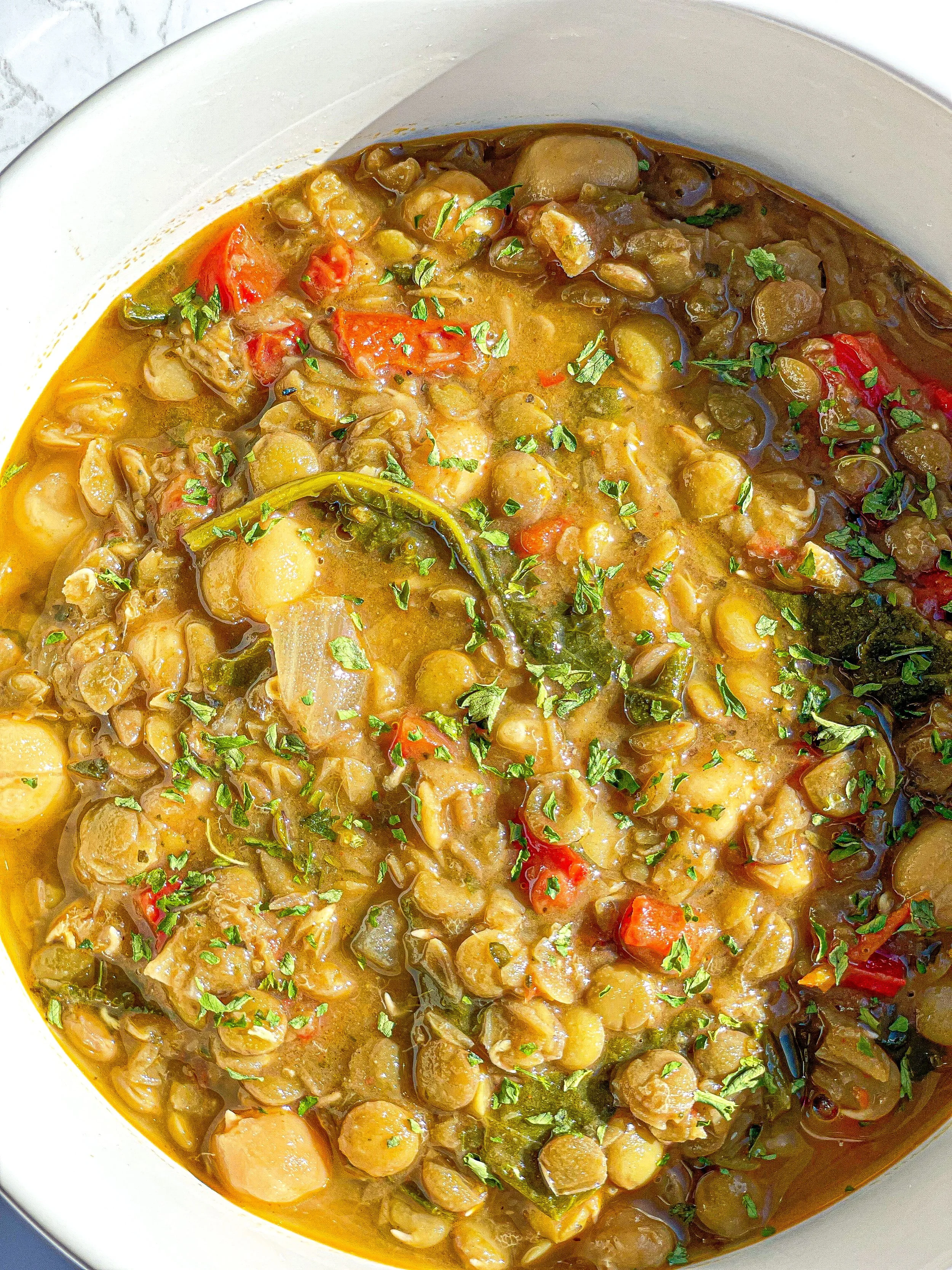 Lentil & Cgickpea Soup 3.JPG