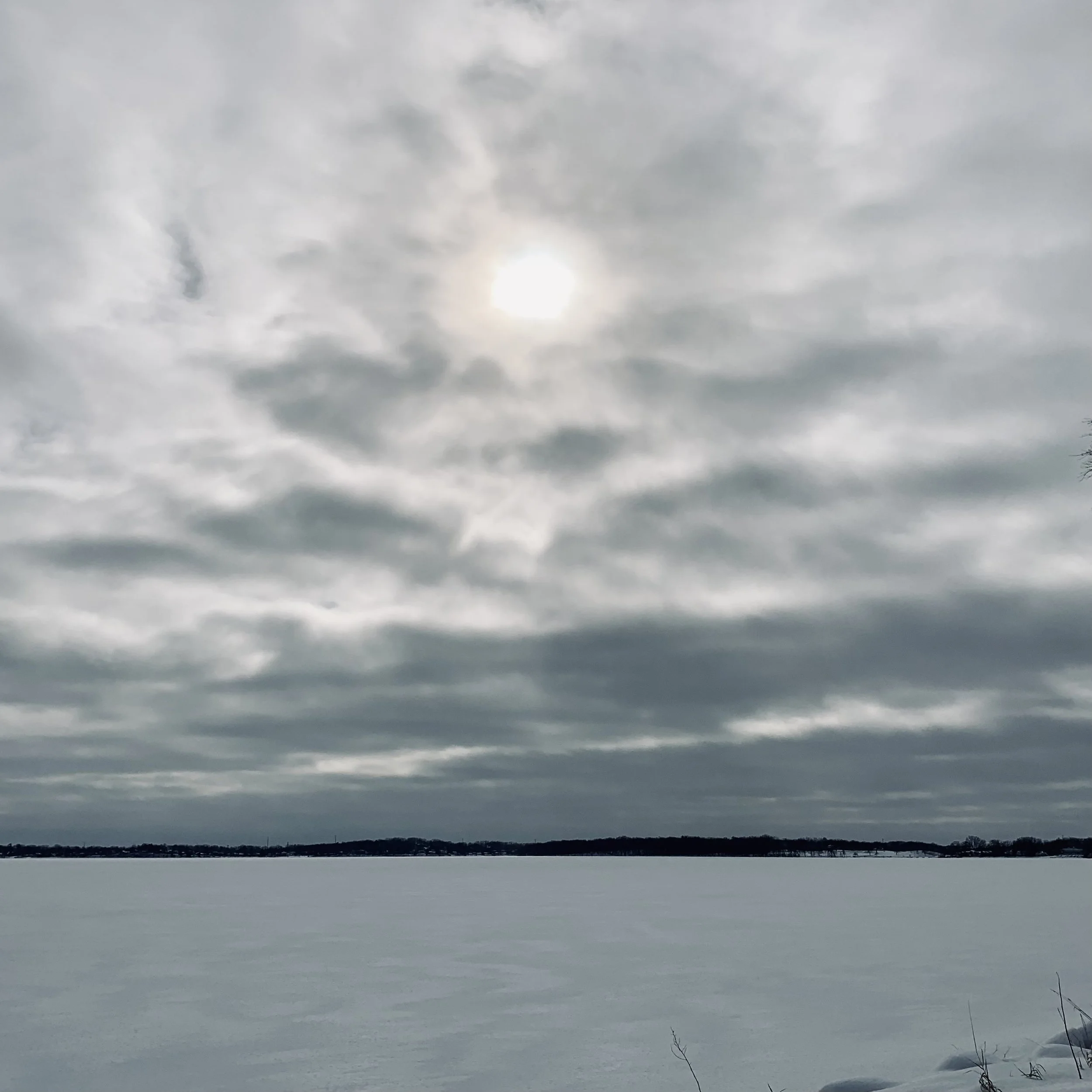 Color After Winter: Why We Crave Brightness This Time of Year