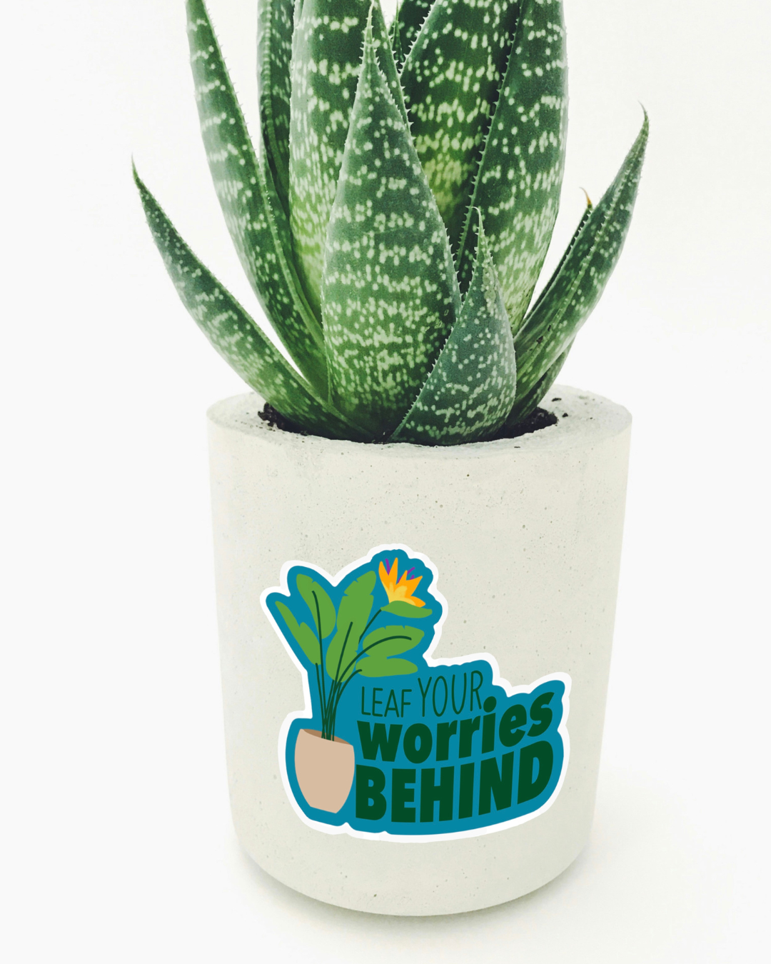Leaf Your Worries Behind