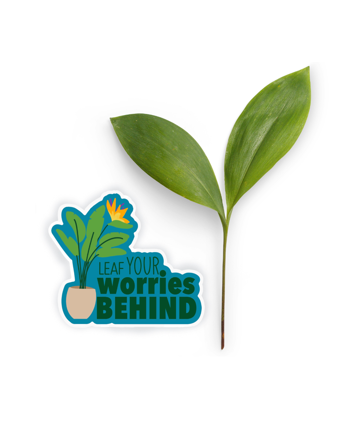 A sticker with a bird of paradise potted plant and the words 'Leaf Your Worries Behind' next to a plant leaf can be purchased at Carrot Top Studio.